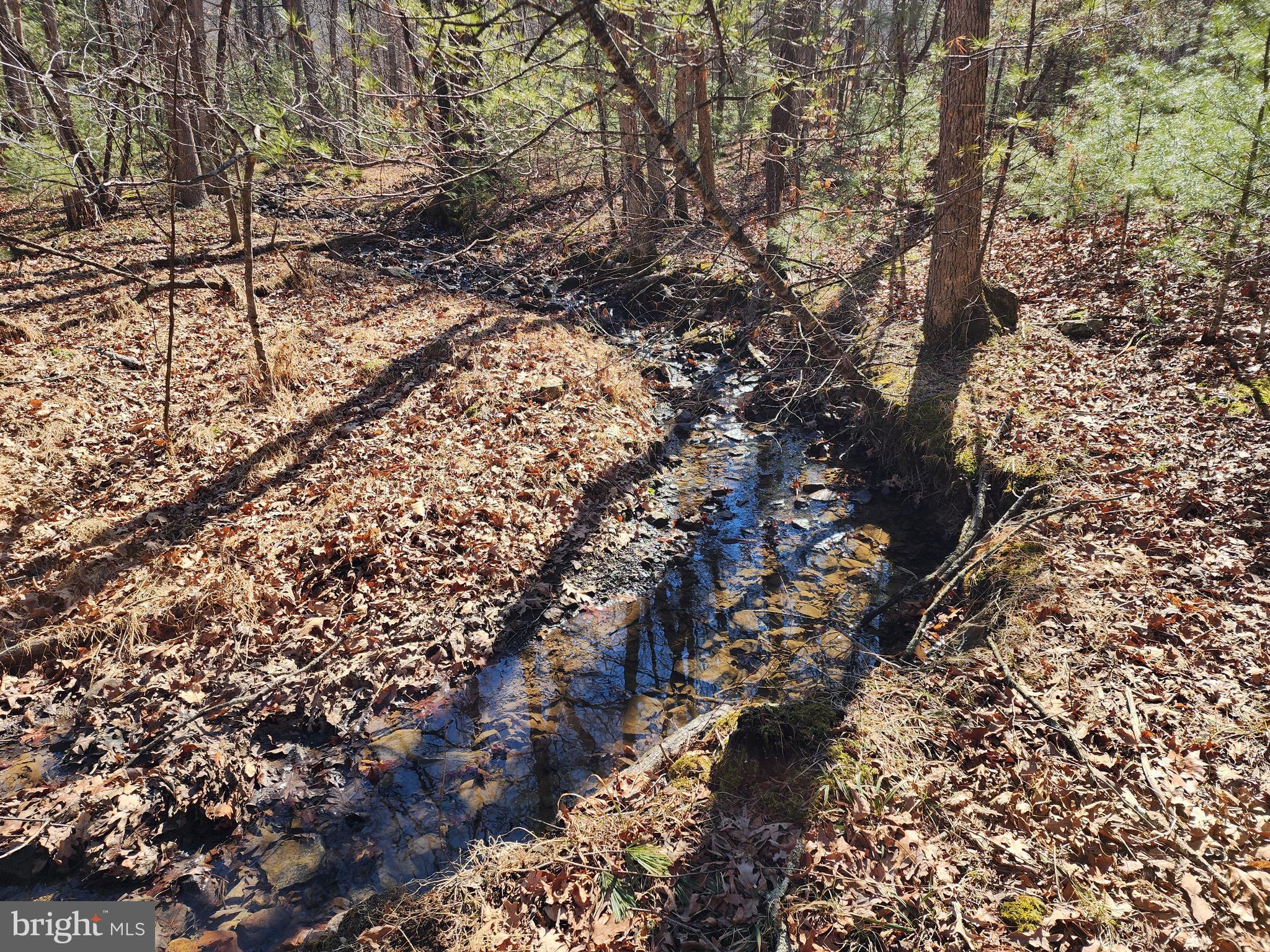 MATHIAS ESTATES - Land