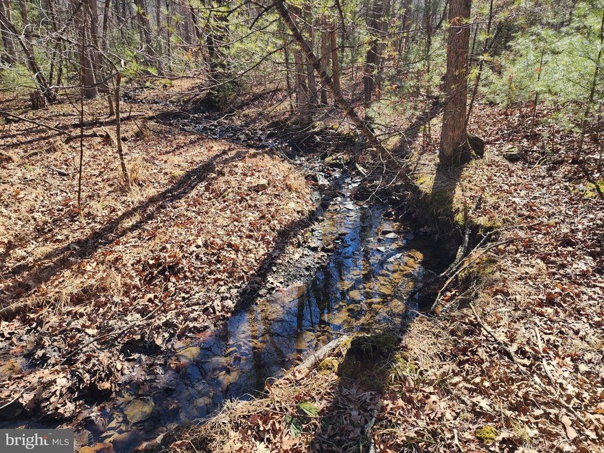 Mountain ready with infrastructure in place! Located on a state-maintained road with fiber-optic internet available, this beautiful property offers the perfect blend of convenience and seclusion. A creek runs through the land, and key improvements are already in place — including a build site, well, and septic — making it ready for your mountain getaway or full-time home. Situated in a quiet, private mountain community just minutes from the George Washington National Forest, Lost River State Park, Kimsey Run Lake, and Trout Pond Recreation Area, outdoor adventure is always close by. Plus, you’re only about 20 minutes from Broadway, VA and Interstate 81, offering easy access while maintaining a peaceful, tucked-away setting.
A rare opportunity to own improved mountain property in an area known for its natural beauty and recreation