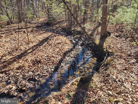 Vacant Land For Sale - 228 Oak Drive<br/> MATHIAS, WV 26812