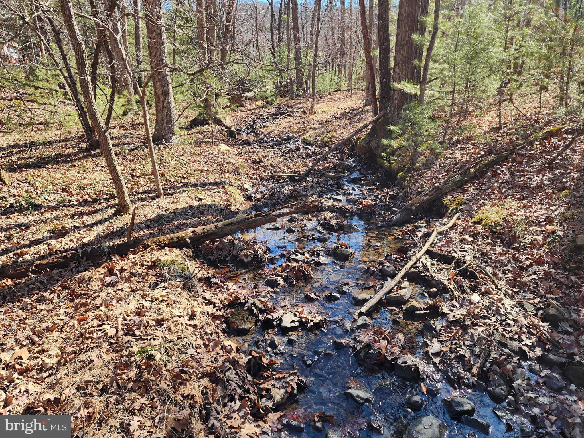 MATHIAS ESTATES - Land