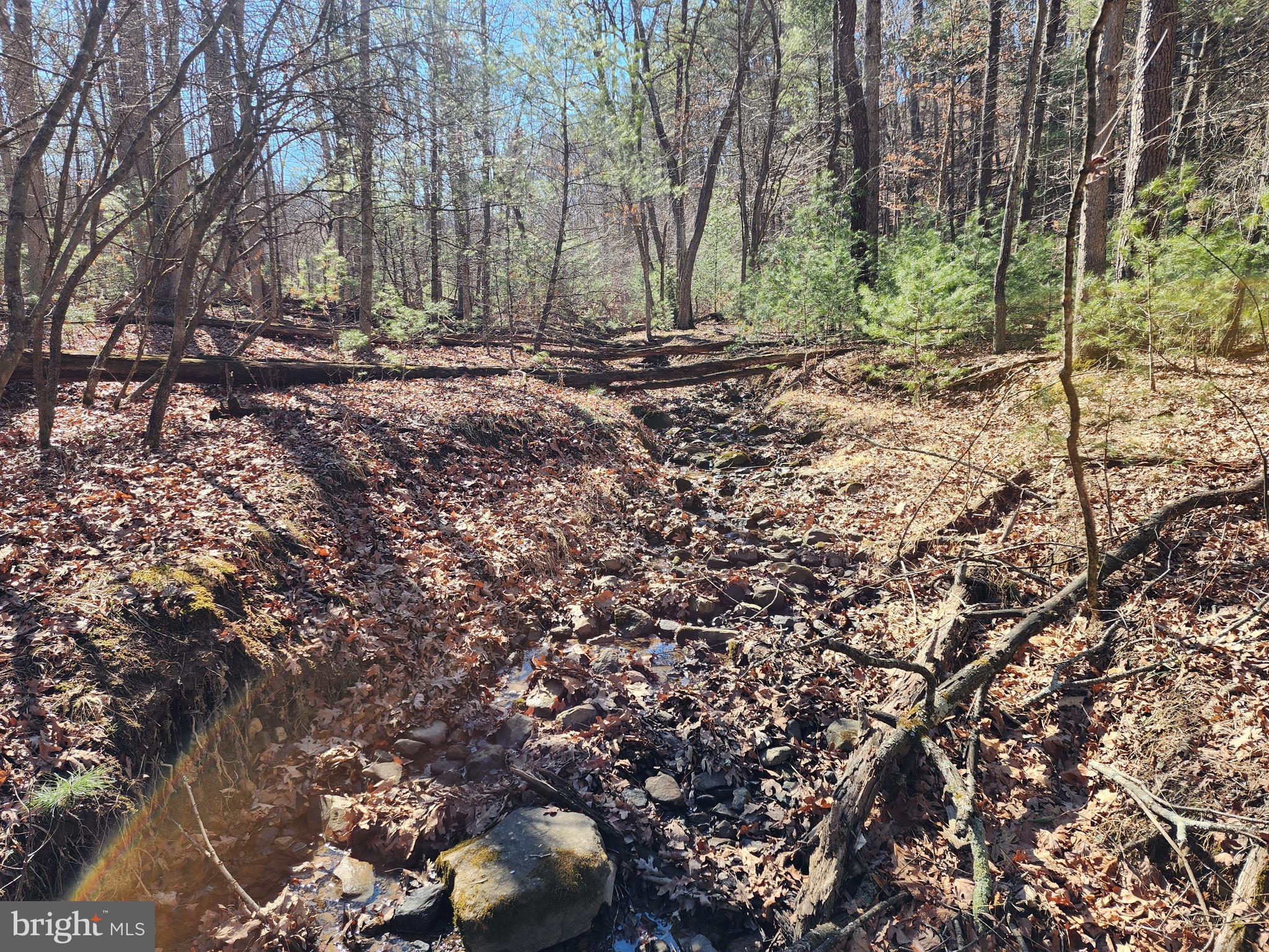 MATHIAS ESTATES - Land