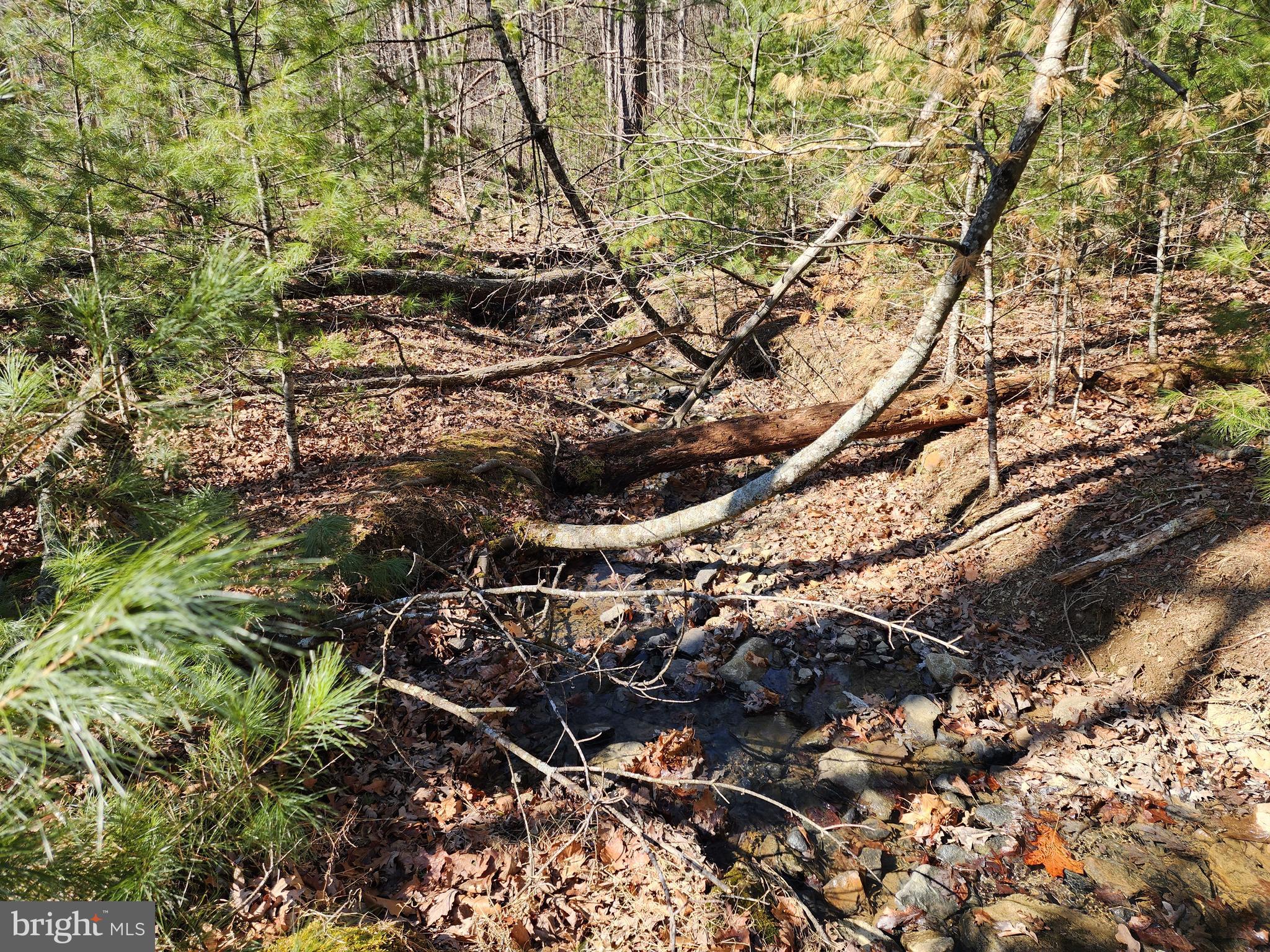 MATHIAS ESTATES - Land