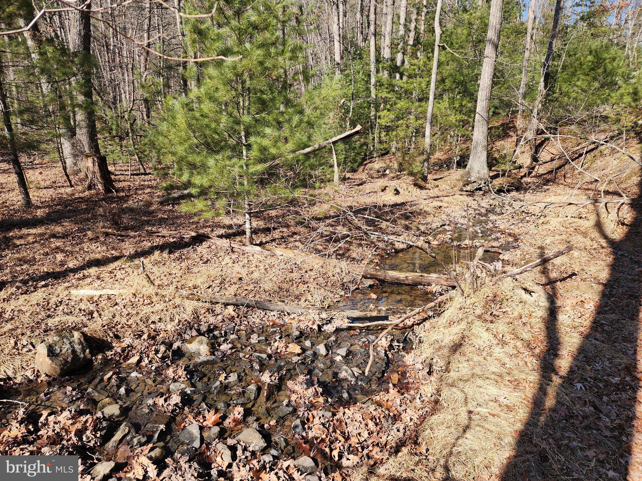 MATHIAS ESTATES - Land