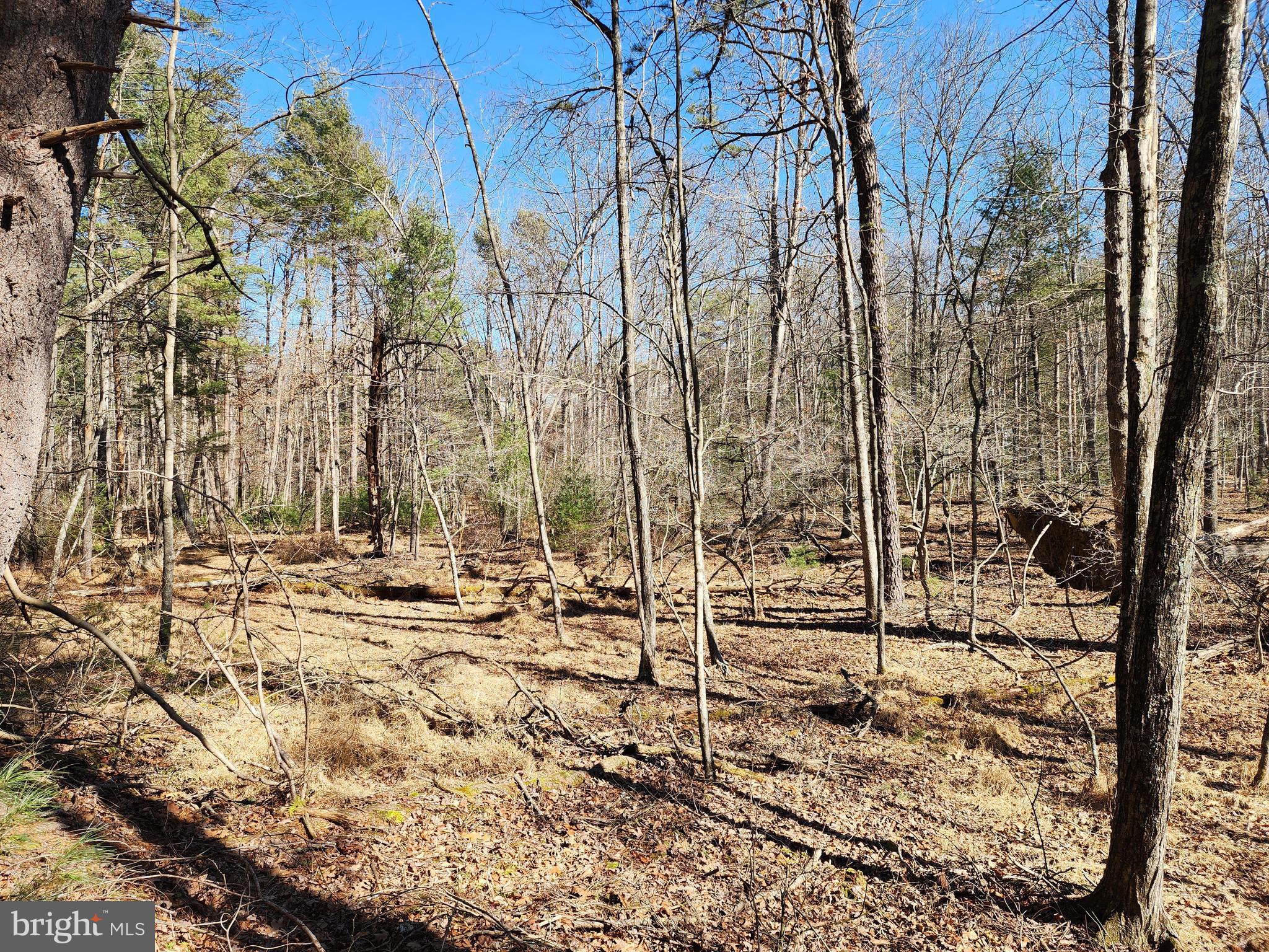 MATHIAS ESTATES - Land