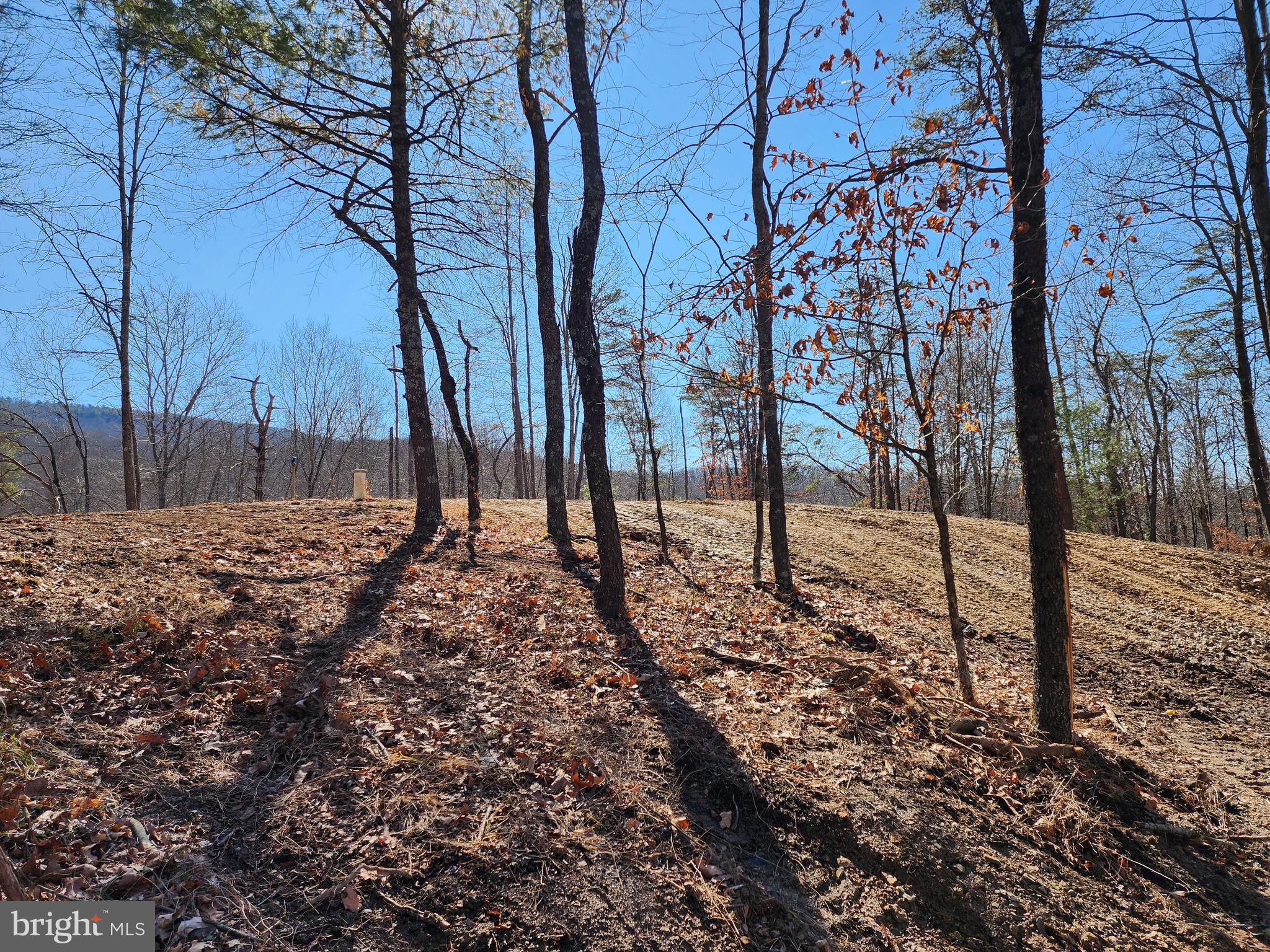 MATHIAS ESTATES - Land