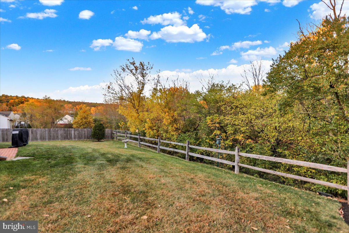 MEADOWS AT ADAMSTOWN - Residential