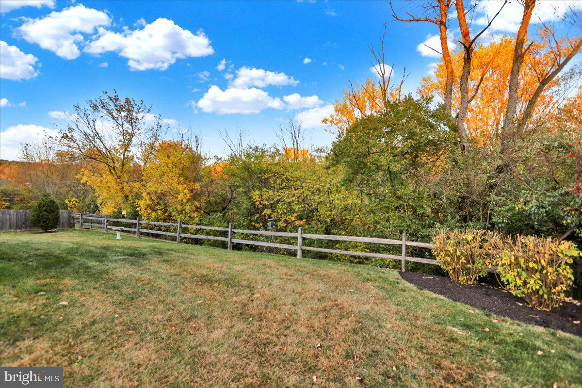 MEADOWS AT ADAMSTOWN - Residential