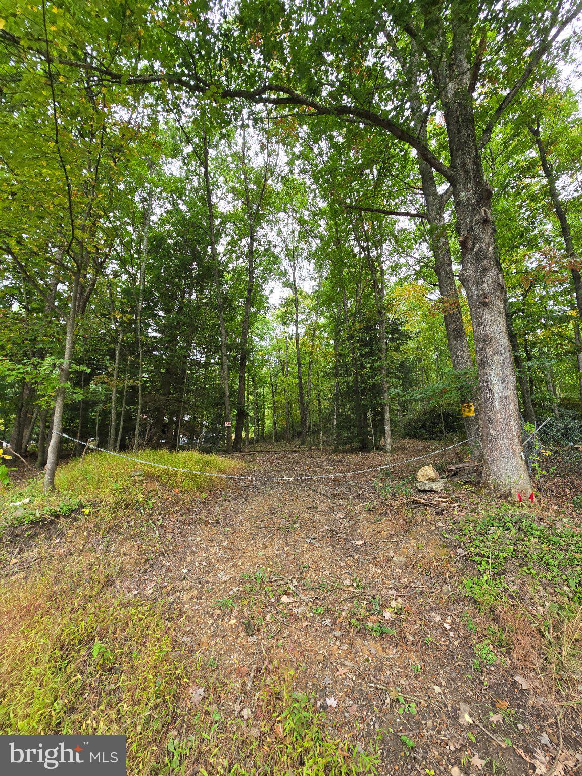 510 W WHITE BEAR DRIVE