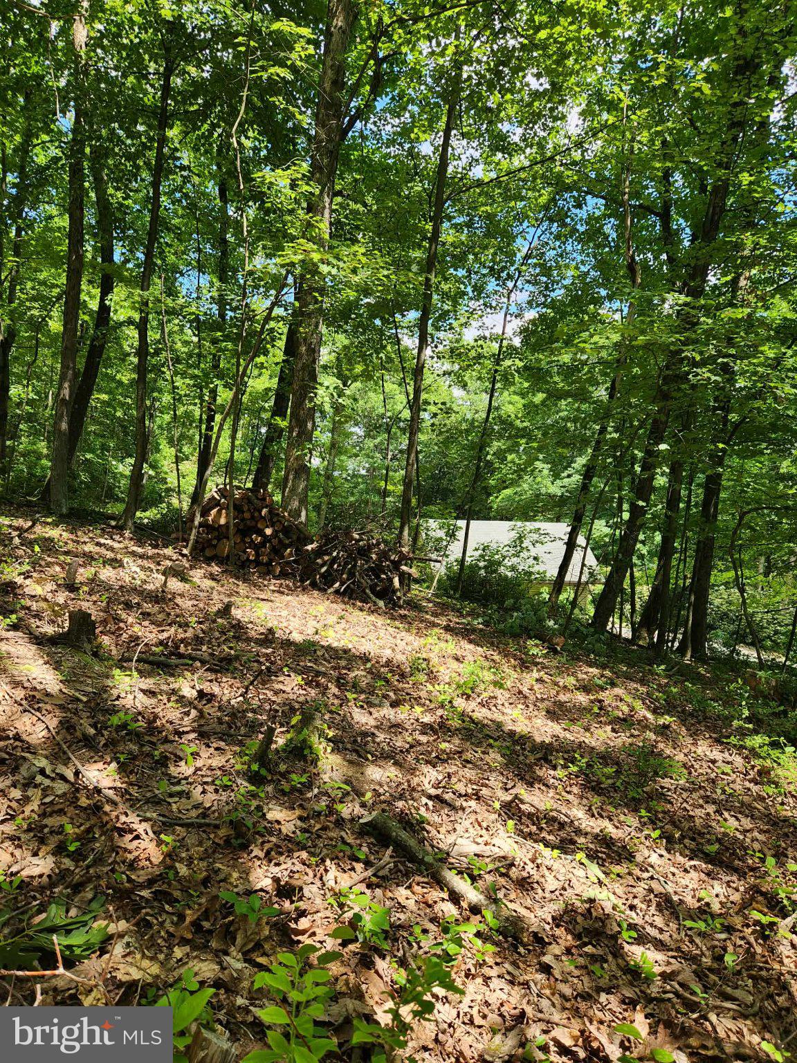 510 W WHITE BEAR DRIVE
