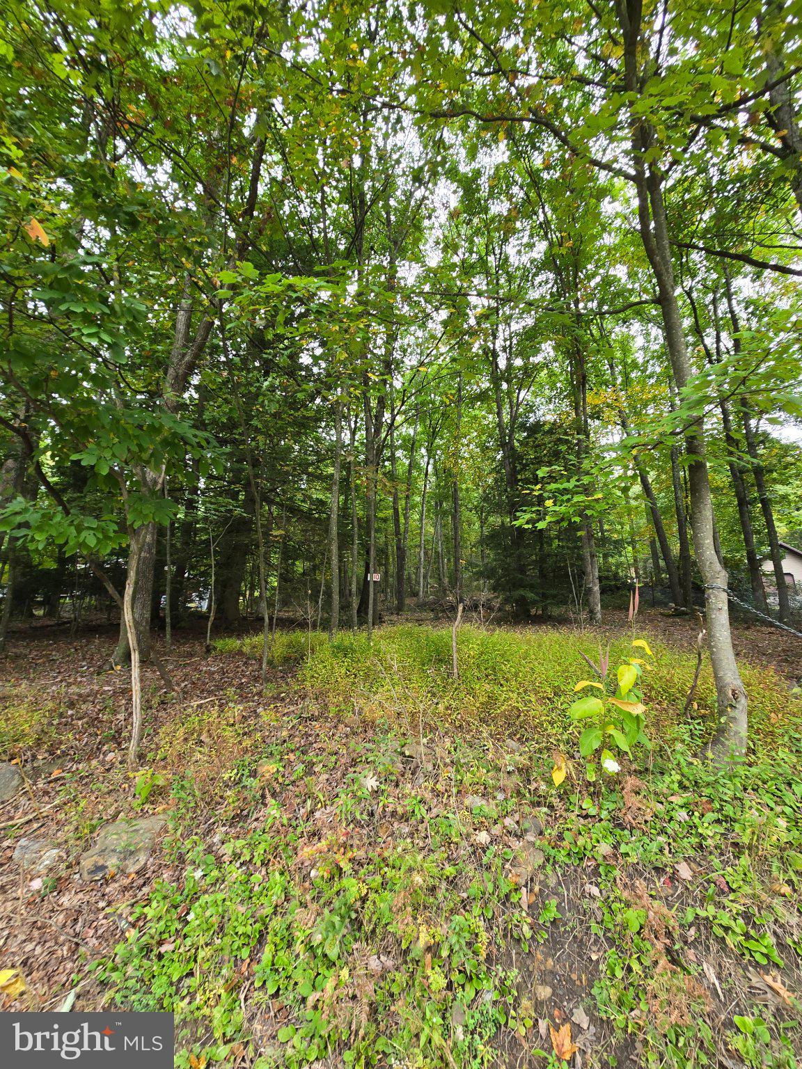 510 W WHITE BEAR DRIVE