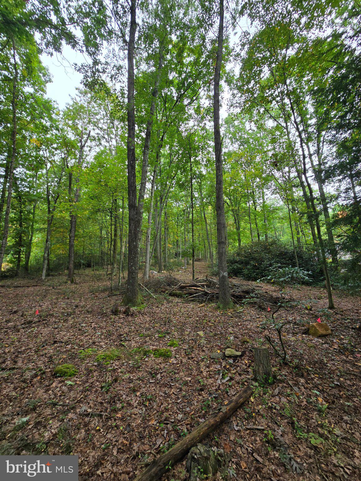 510 W WHITE BEAR DRIVE