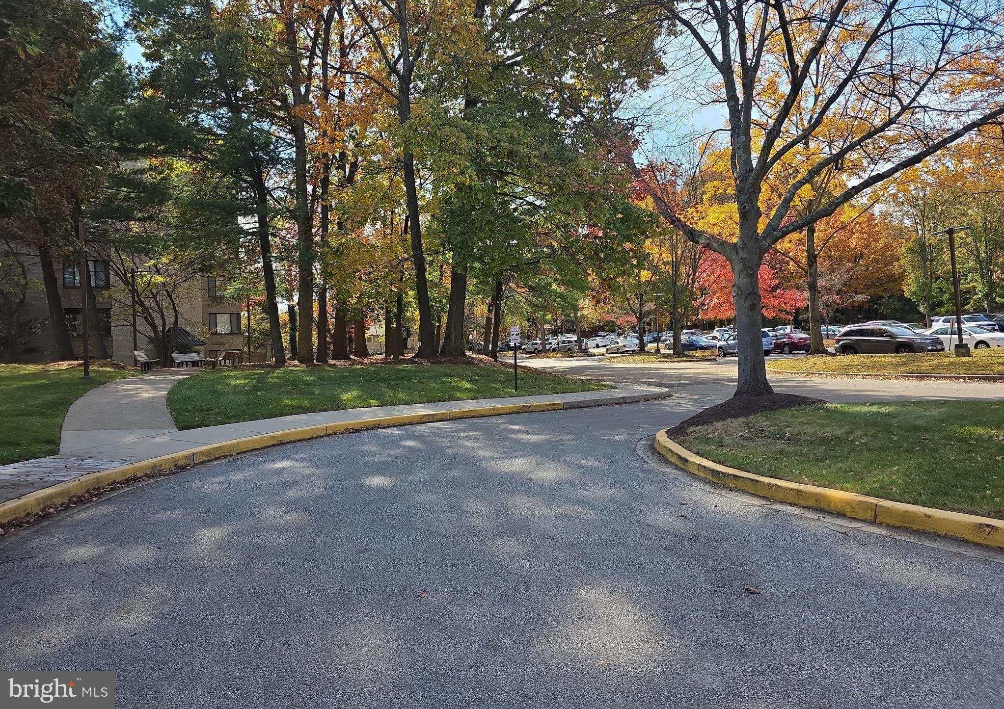 3031 FALLSTAFF ROAD 306C