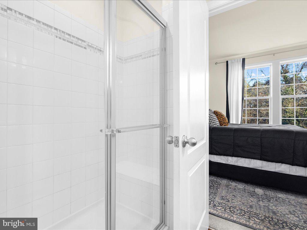 SEVERN HOLLOW - Residential