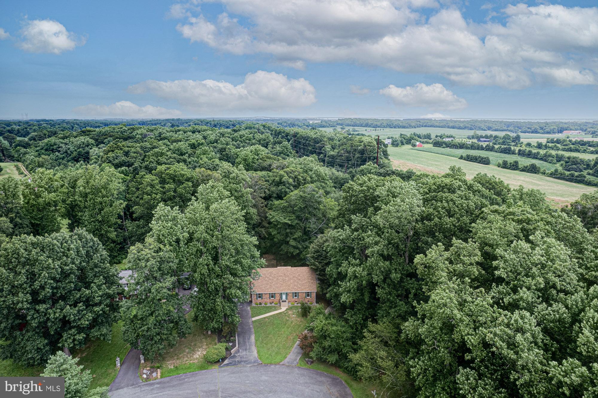 7 BRISTLE CONE DRIVE