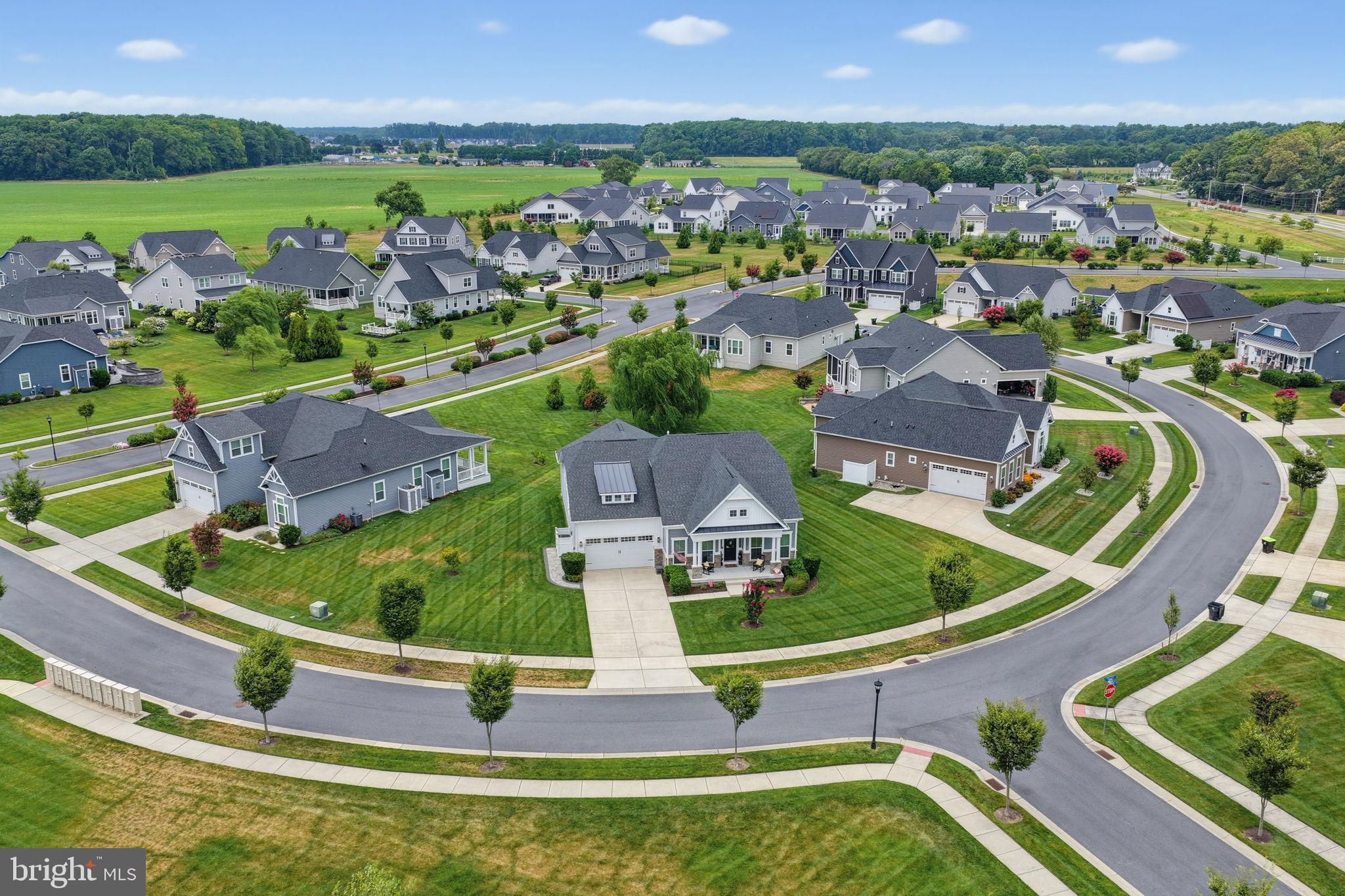 31254 RINGTAIL DRIVE