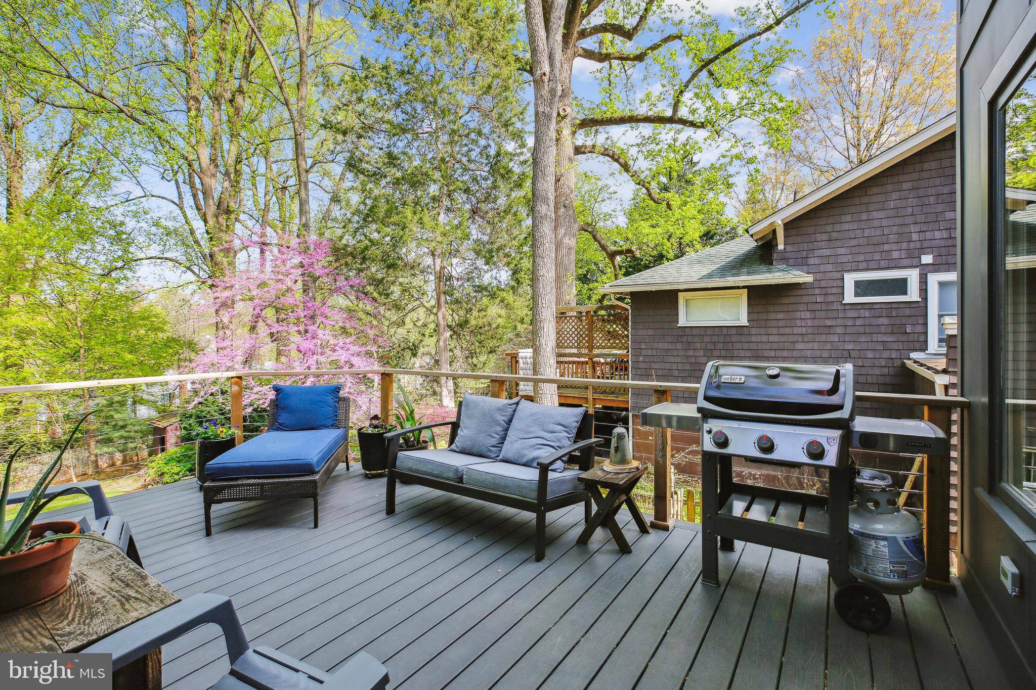 TAKOMA PARK - Residential