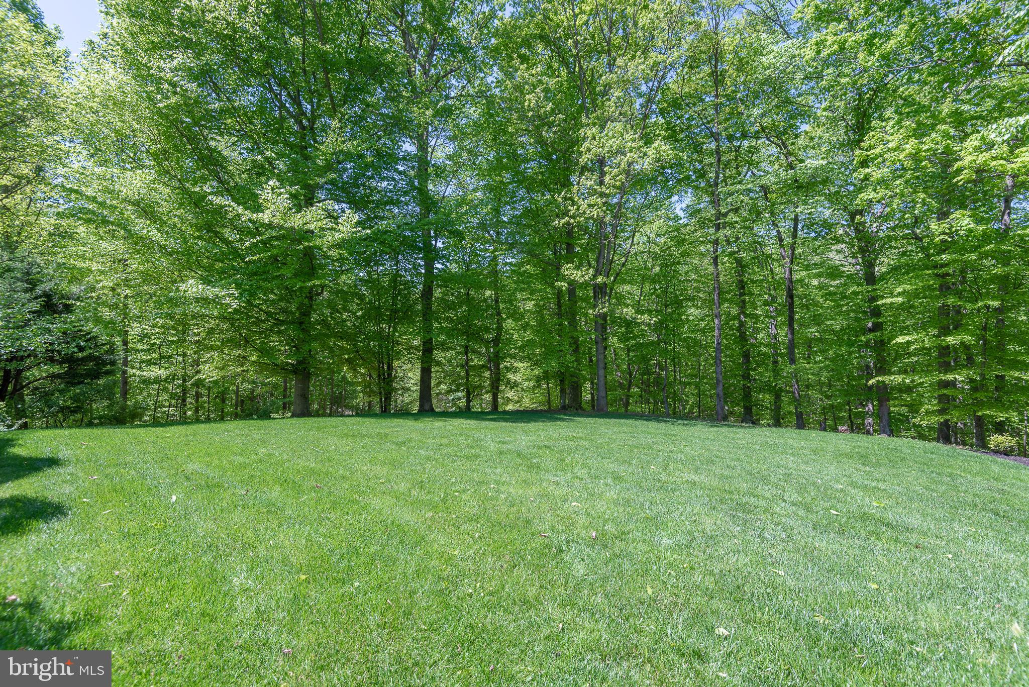 BEAR CREEK - Residential