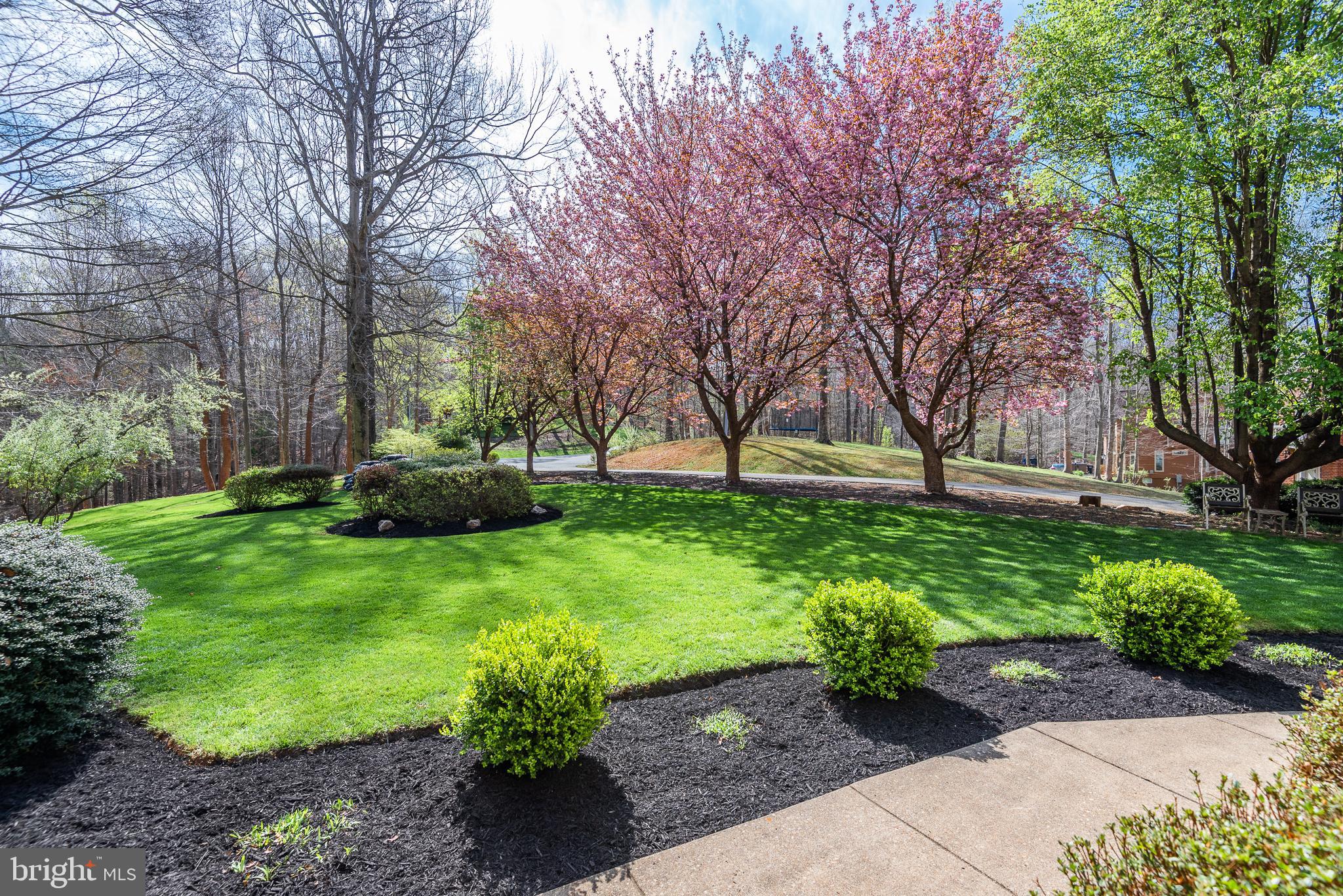 BEAR CREEK - Residential