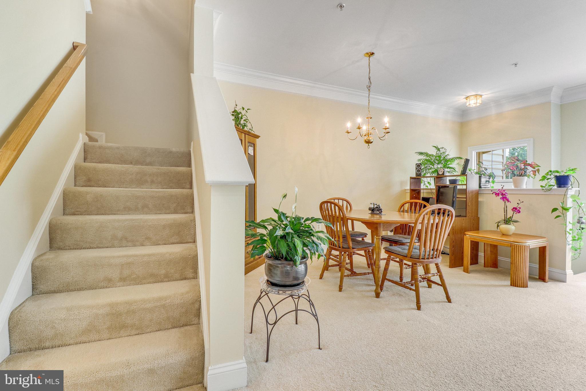 COURTLANDS AT CASCADES - Residential