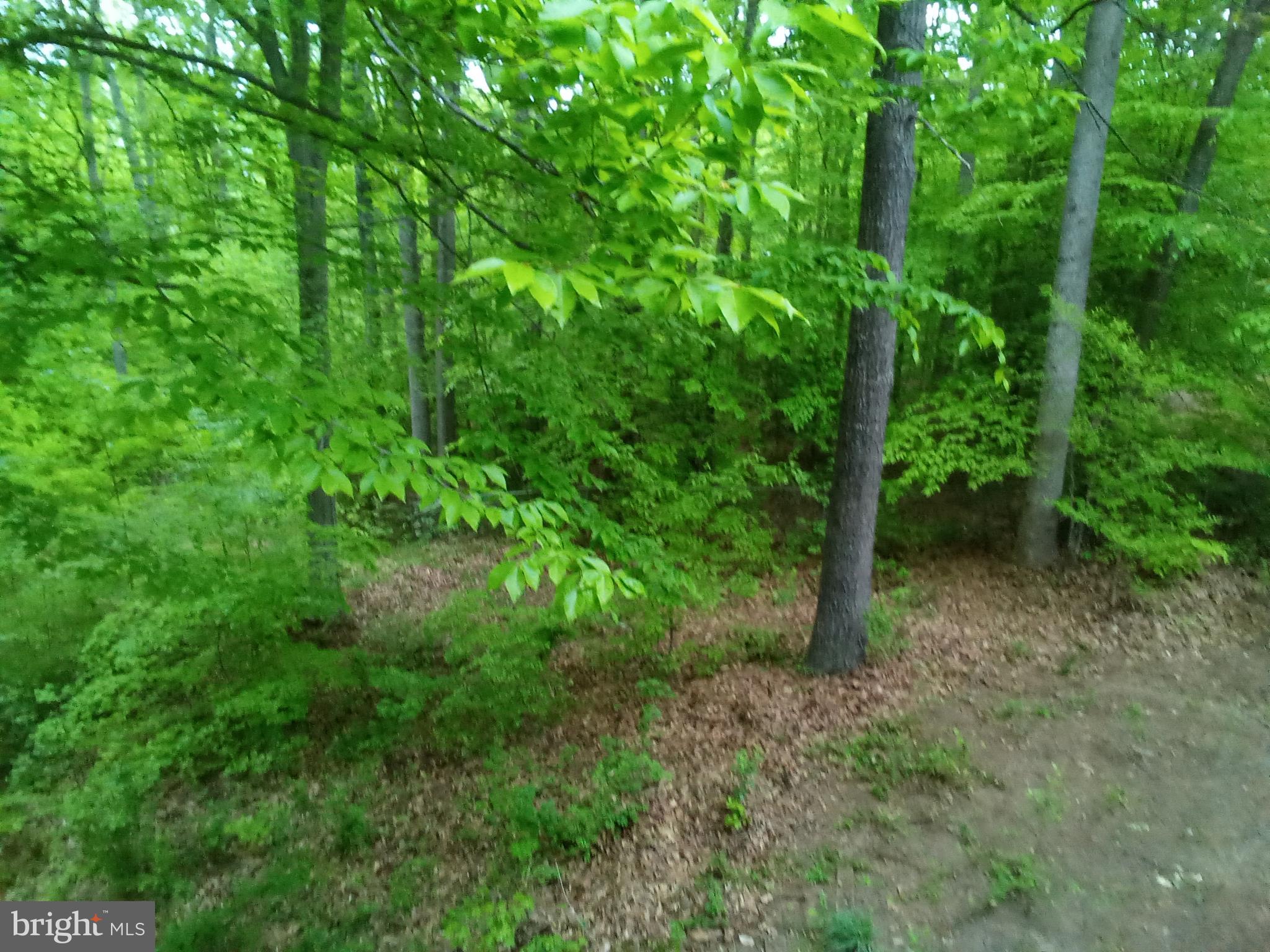 MARYWOOD - Residential Lease