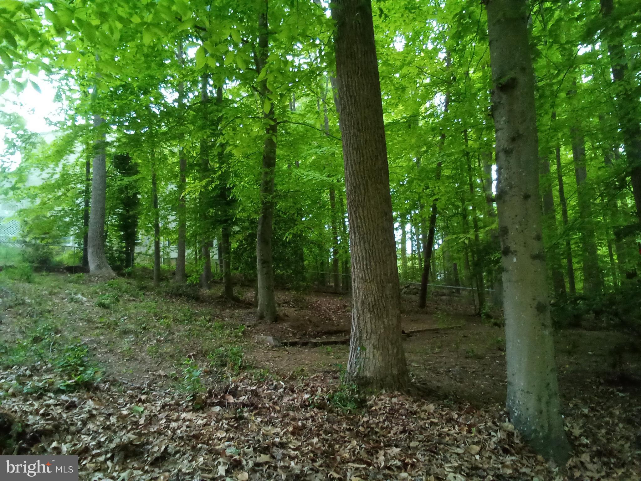 MARYWOOD - Residential Lease