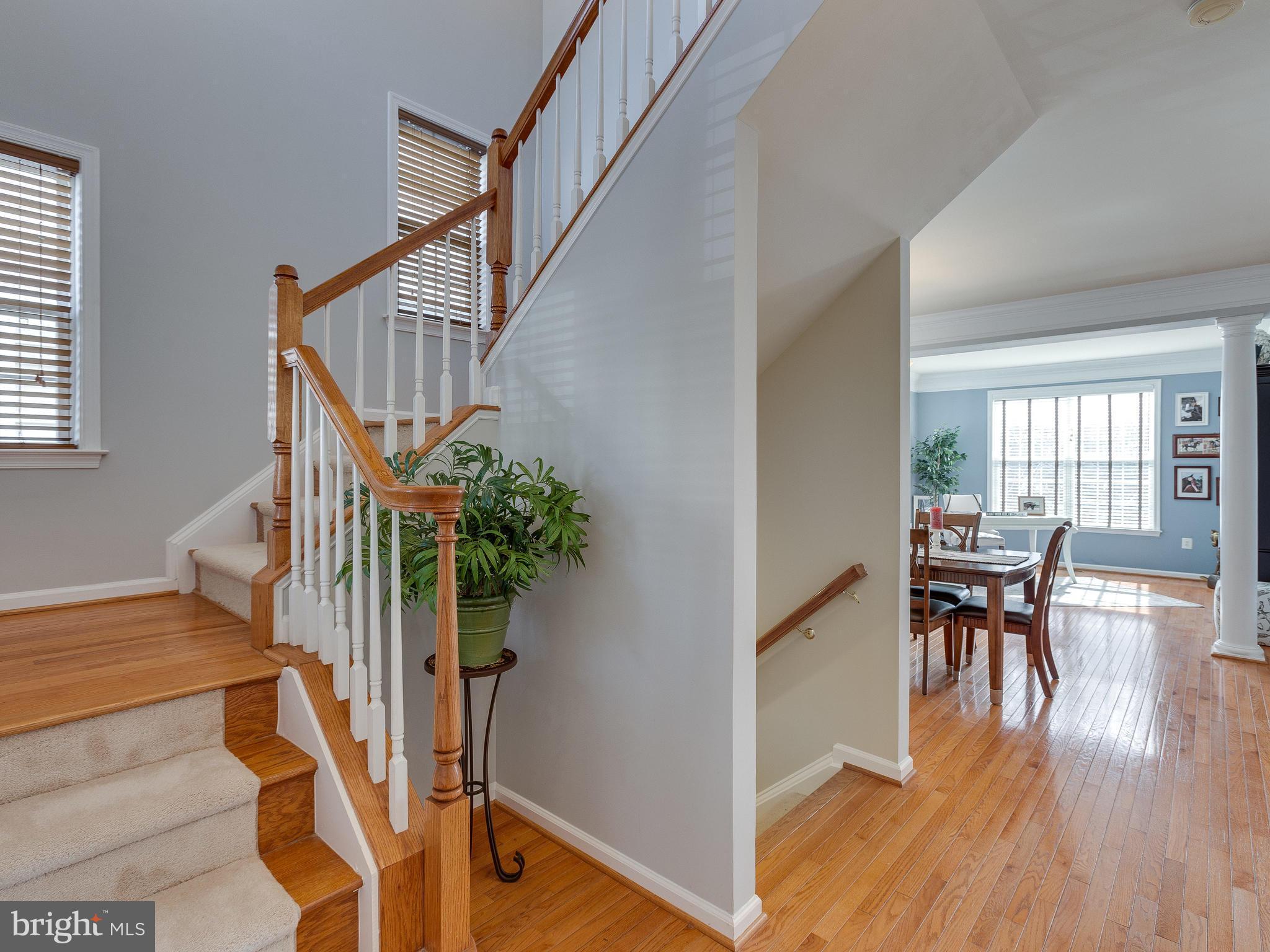 HAYMARKET STATION - Residential