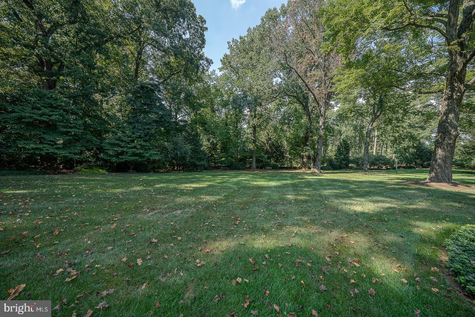 RADNOR HUNT - Residential