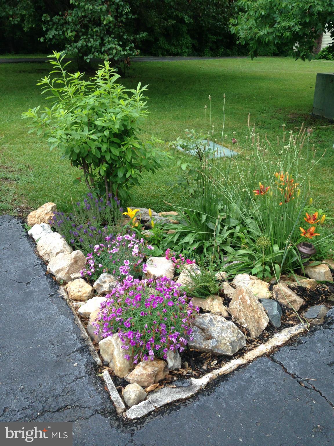 SHADOW WOODS - Residential