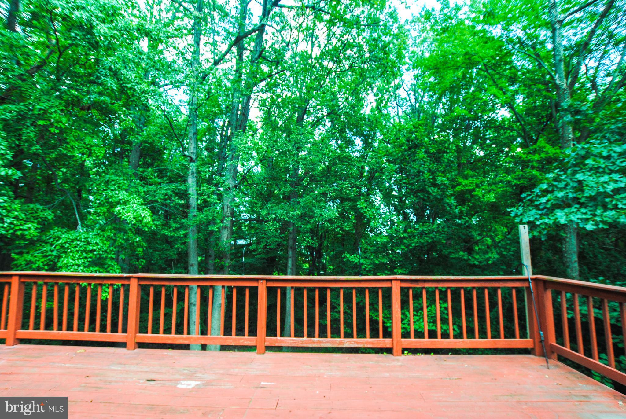 CARNEY/CUB HILL - Residential Lease