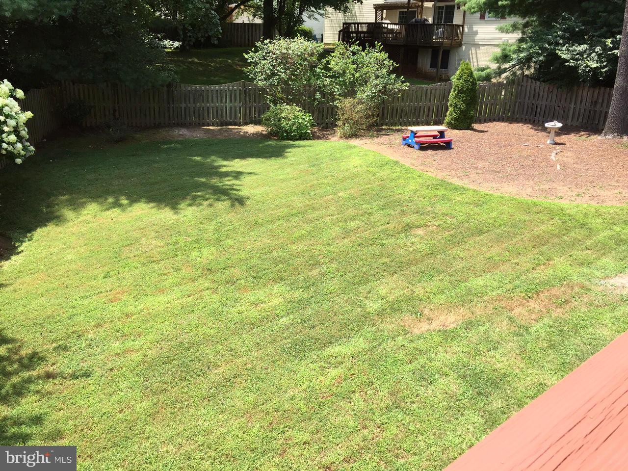 AL MARAH - Residential Lease