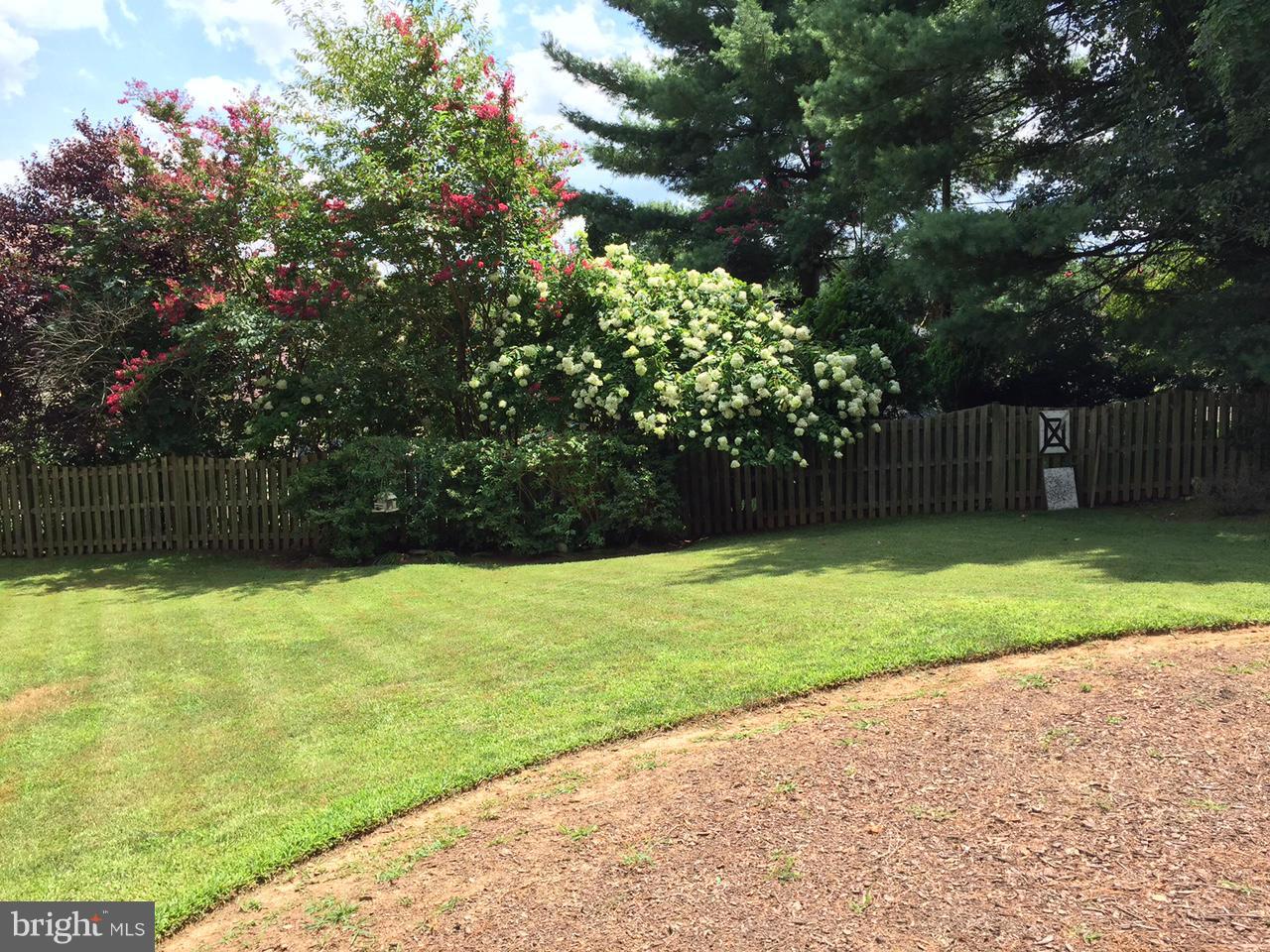 AL MARAH - Residential Lease