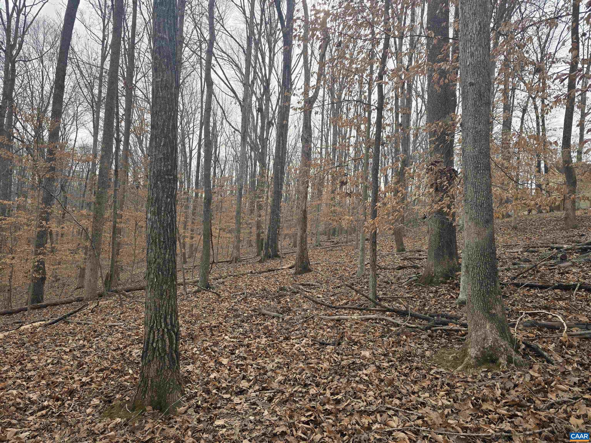 LAKE MONTICELLO - Land