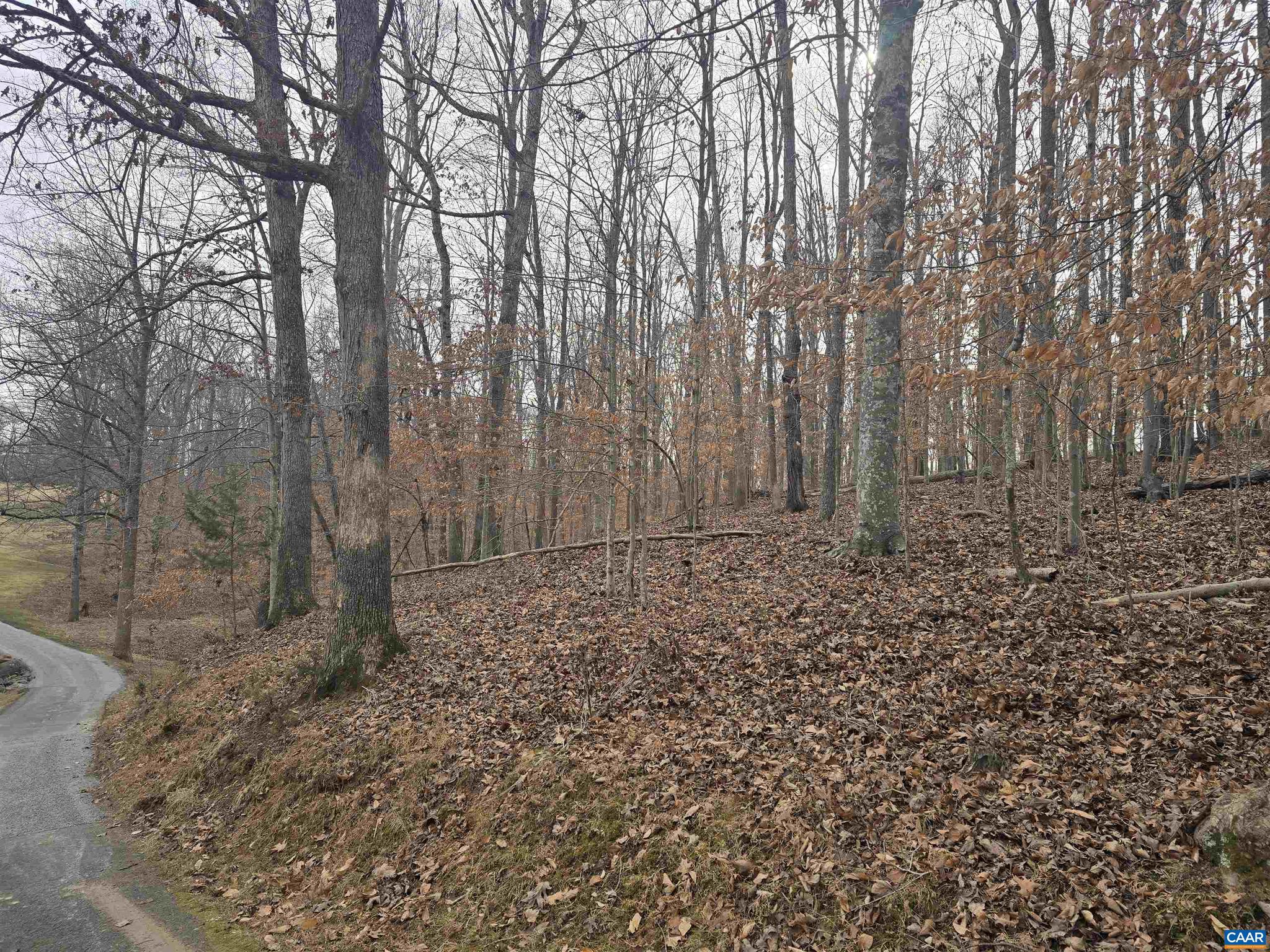 LAKE MONTICELLO - Land