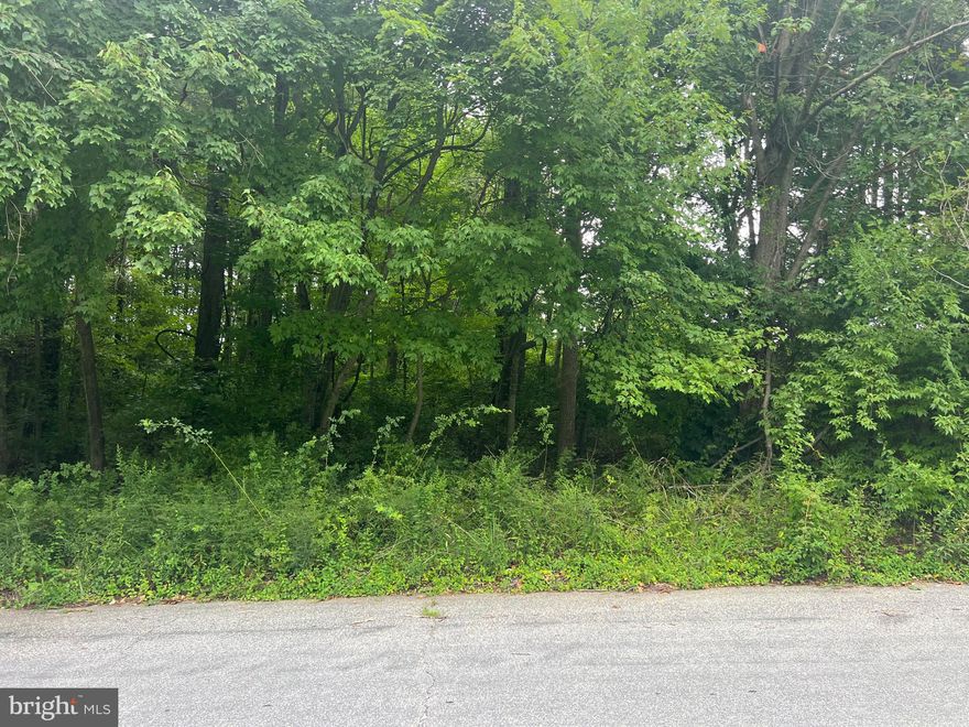 Welcome to an exceptional opportunity in the desirable Susquehanna River Hills community! Nestled in the serene rural farm country, this one-acre lot offers the perfect blend of tranquility and convenience, with easy access to I-95.

This prime piece of land comes ready for your dream home, featuring an installed well, completed perc test, and site plan. You have the freedom to bring your own builder or take advantage of an available builder tie-in. Don’t miss out on this rare chance to create your perfect retreat in a charming neighborhood—act quickly before it’s gone!