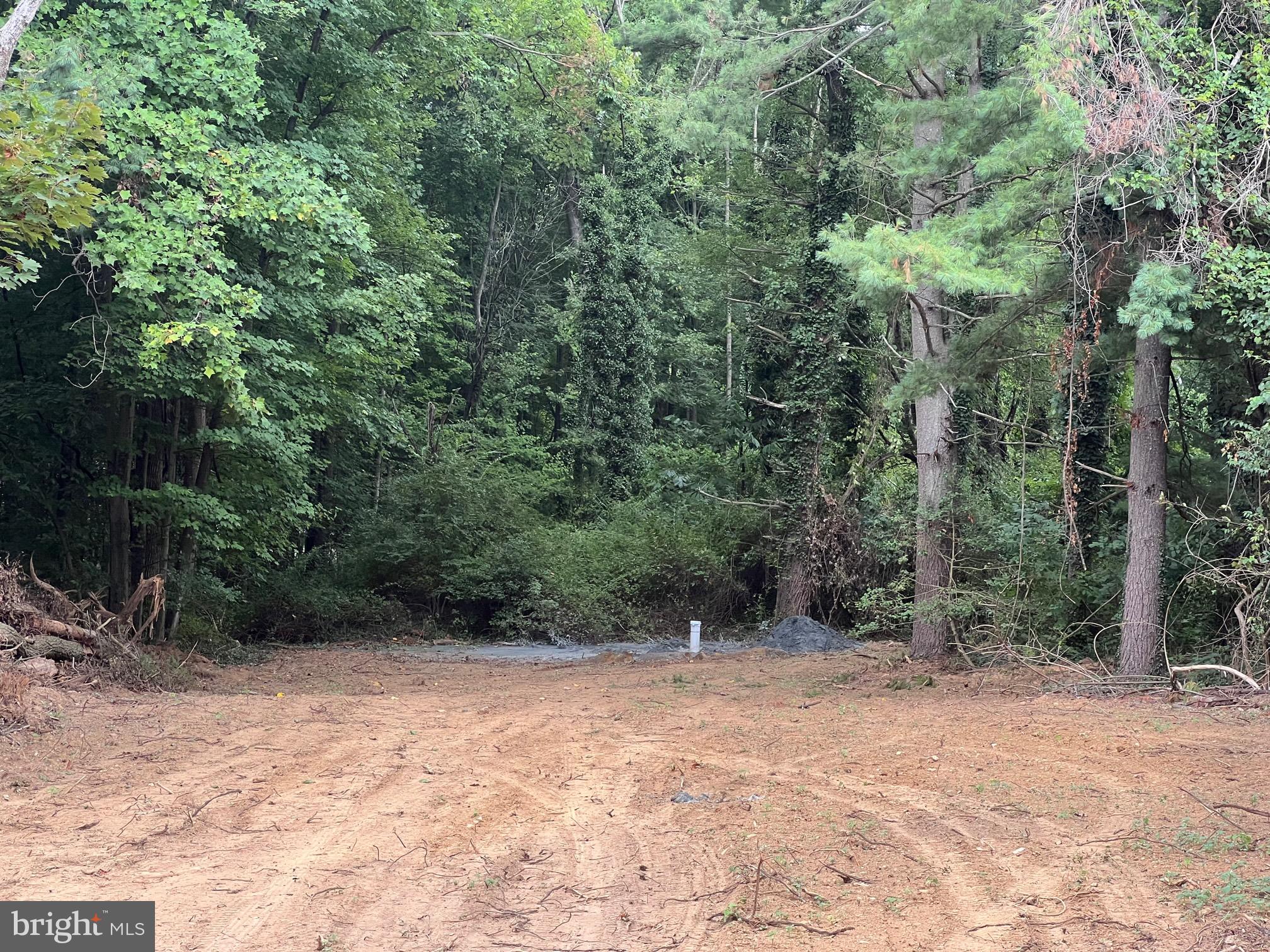 SUSQUEHANNA RIVER HILLS - Land