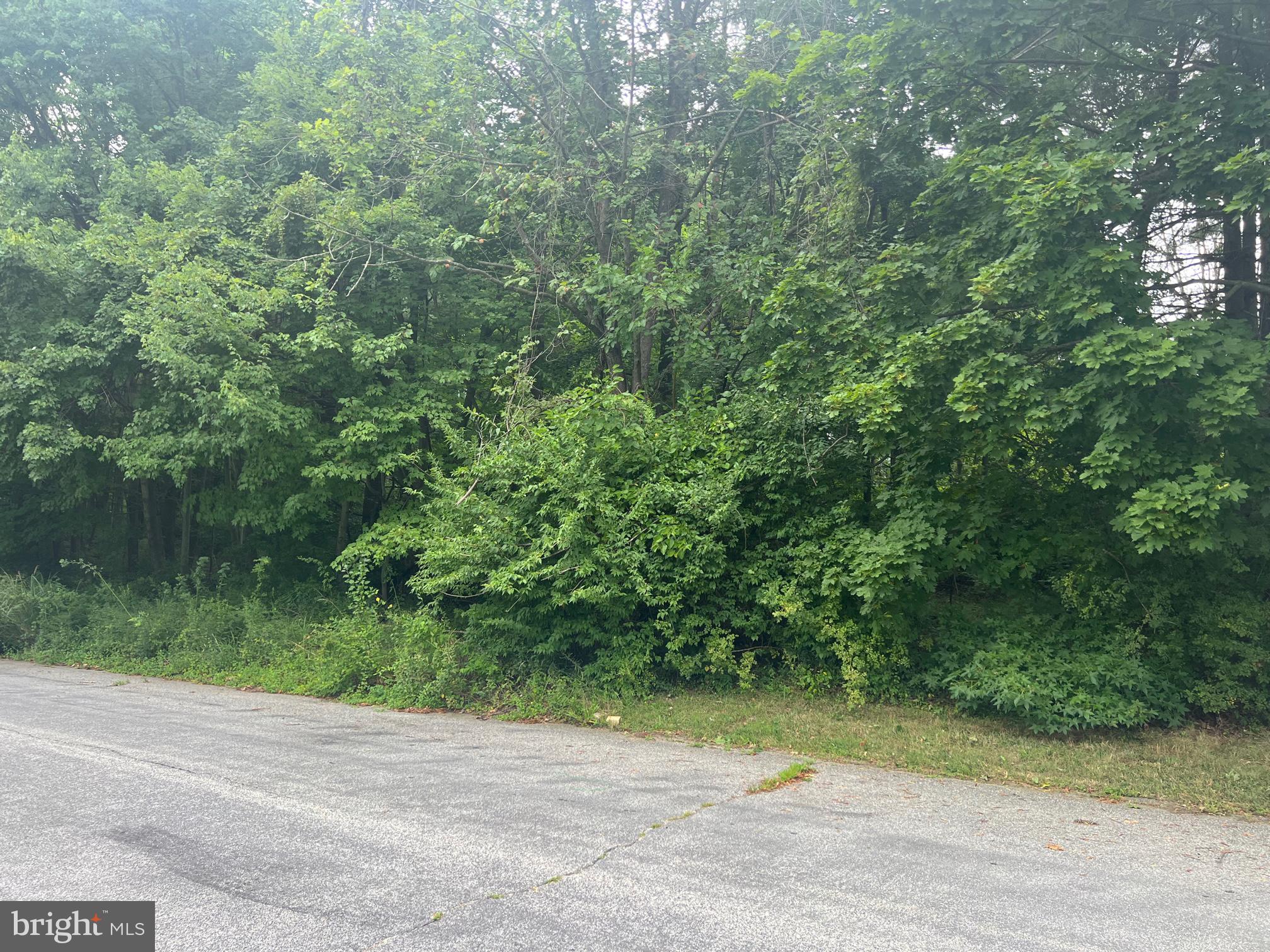 SUSQUEHANNA RIVER HILLS - Land