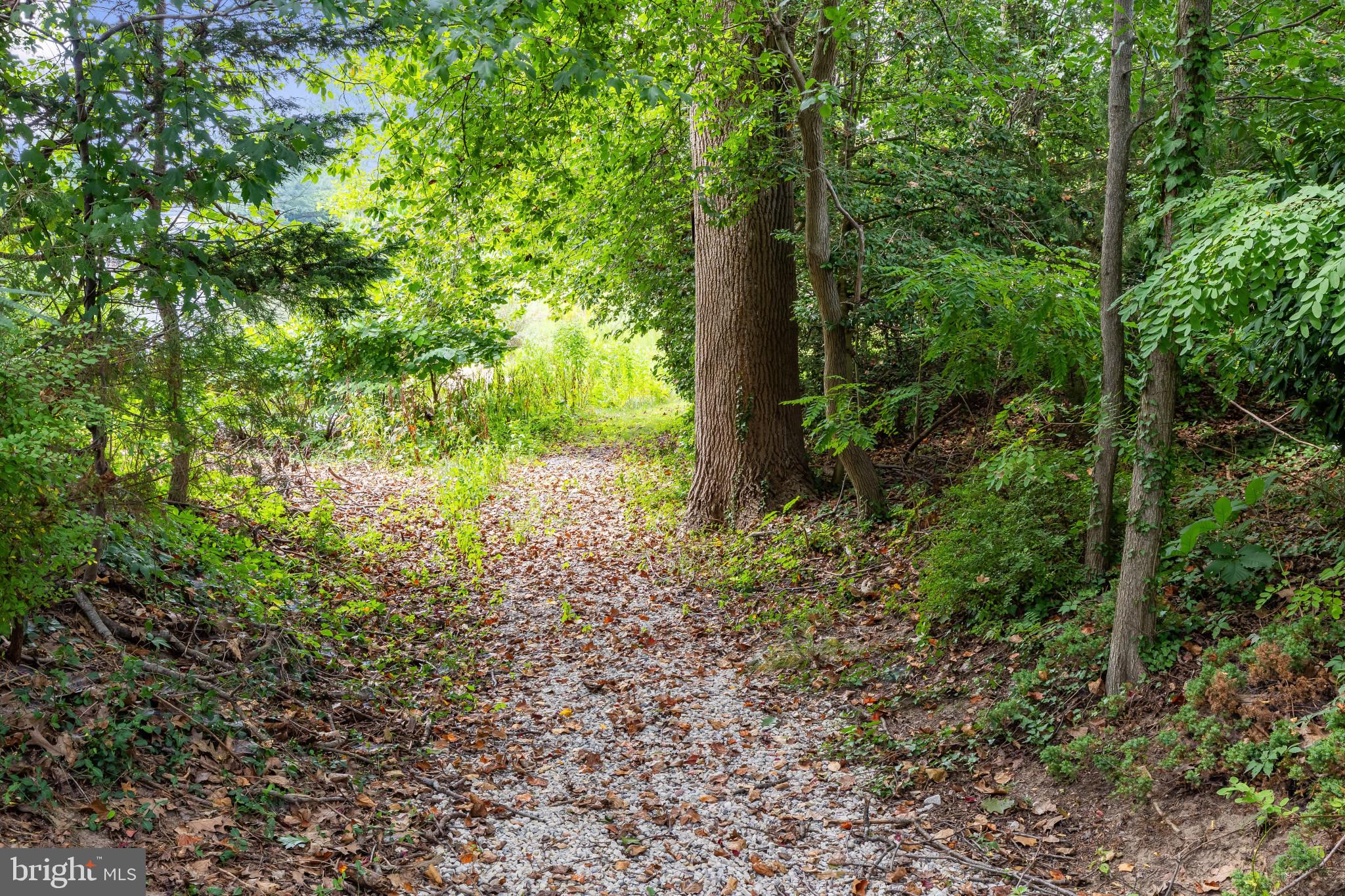 CEDARWOOD COVE - Residential