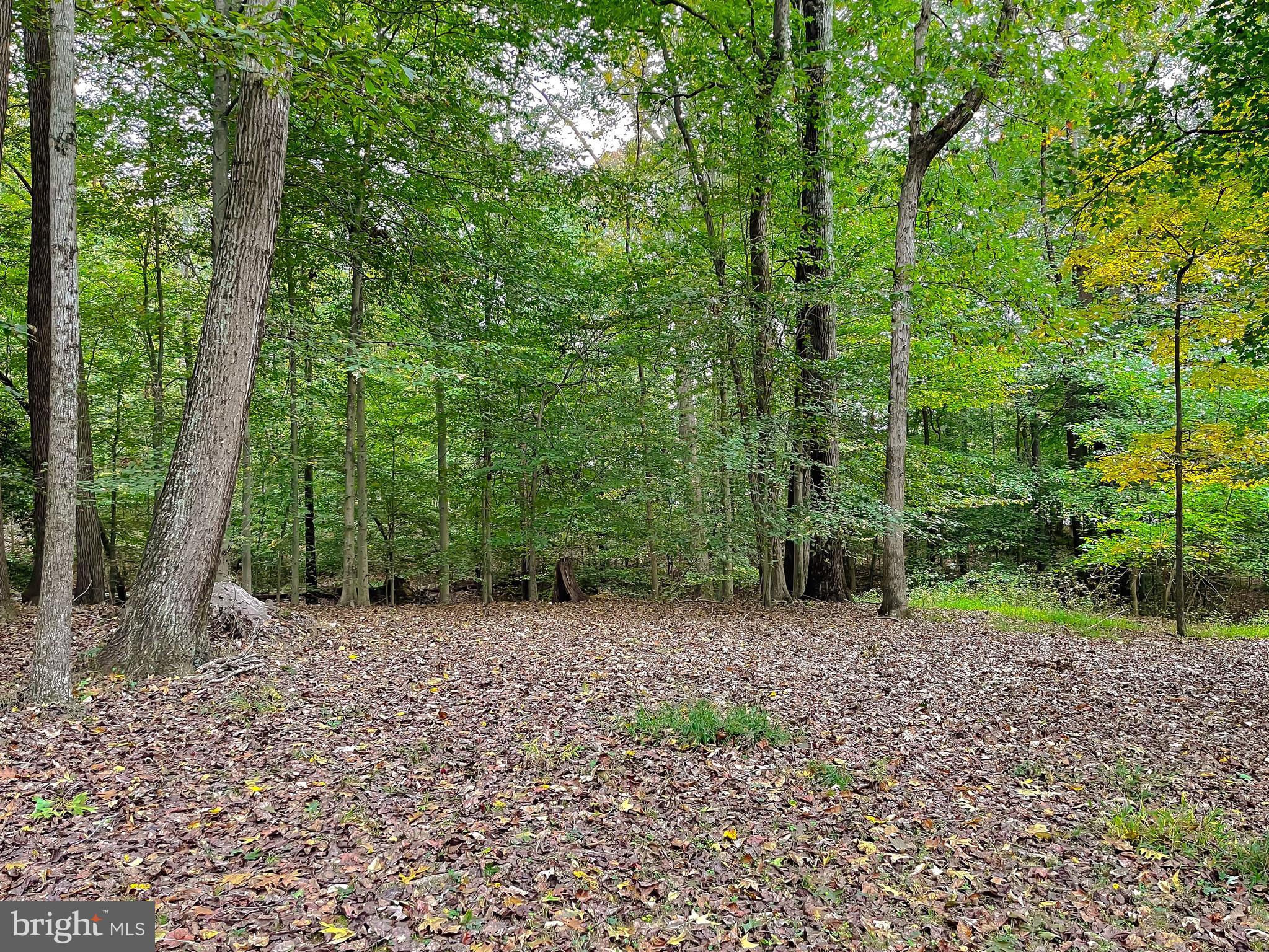 PHEASANT FARM SUB - Residential