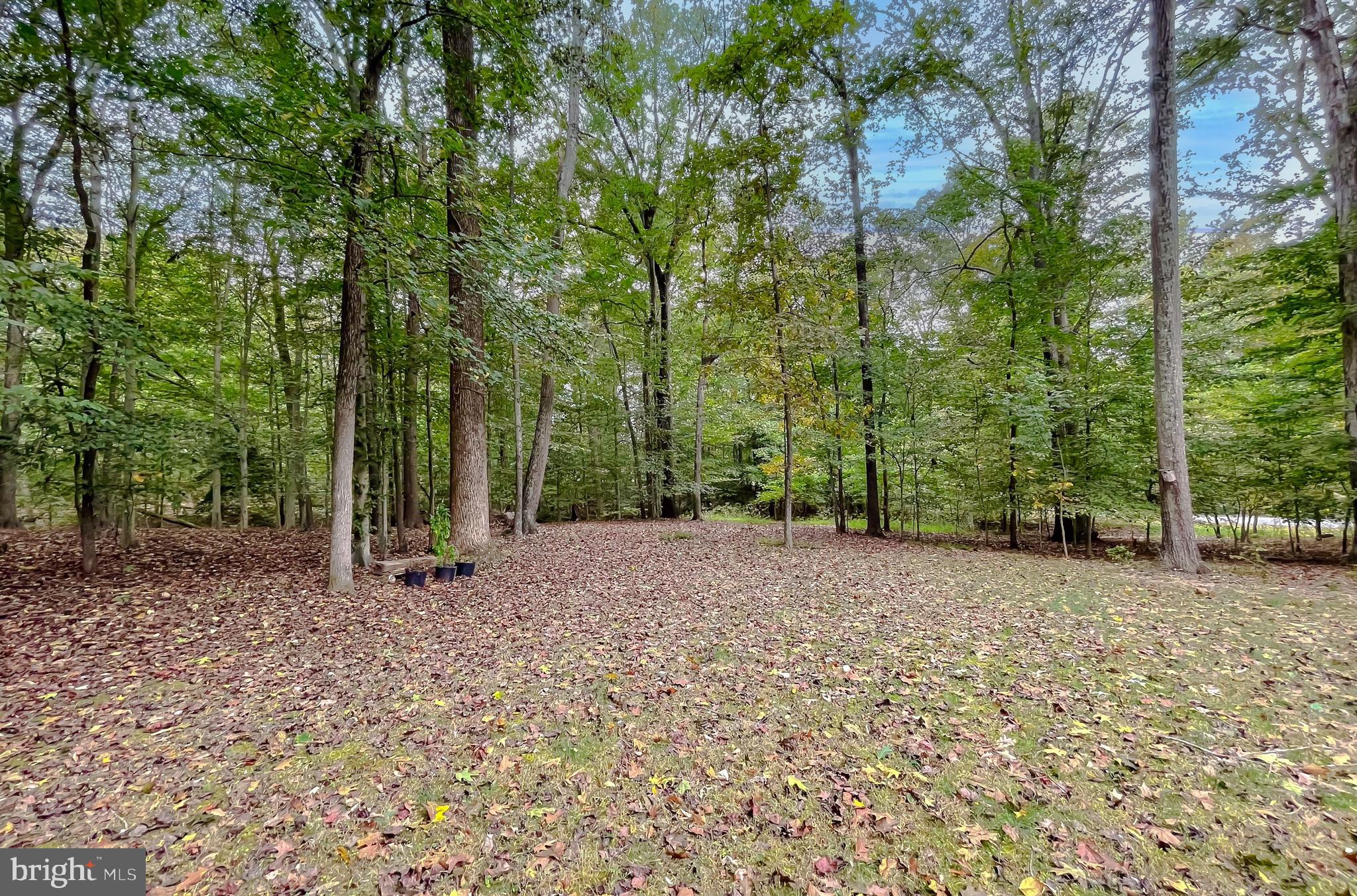 PHEASANT FARM SUB - Residential