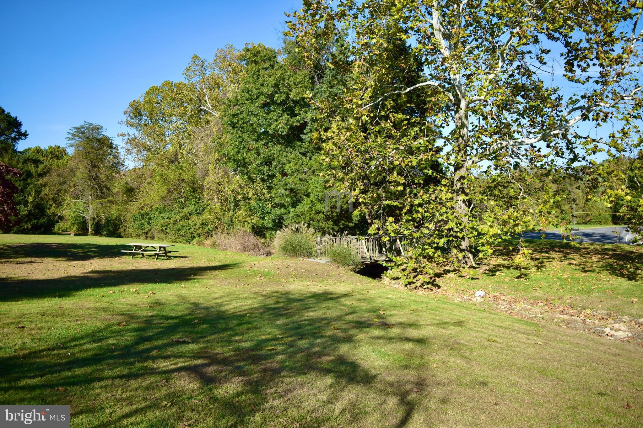 SHENANDOAH FARMS - Residential