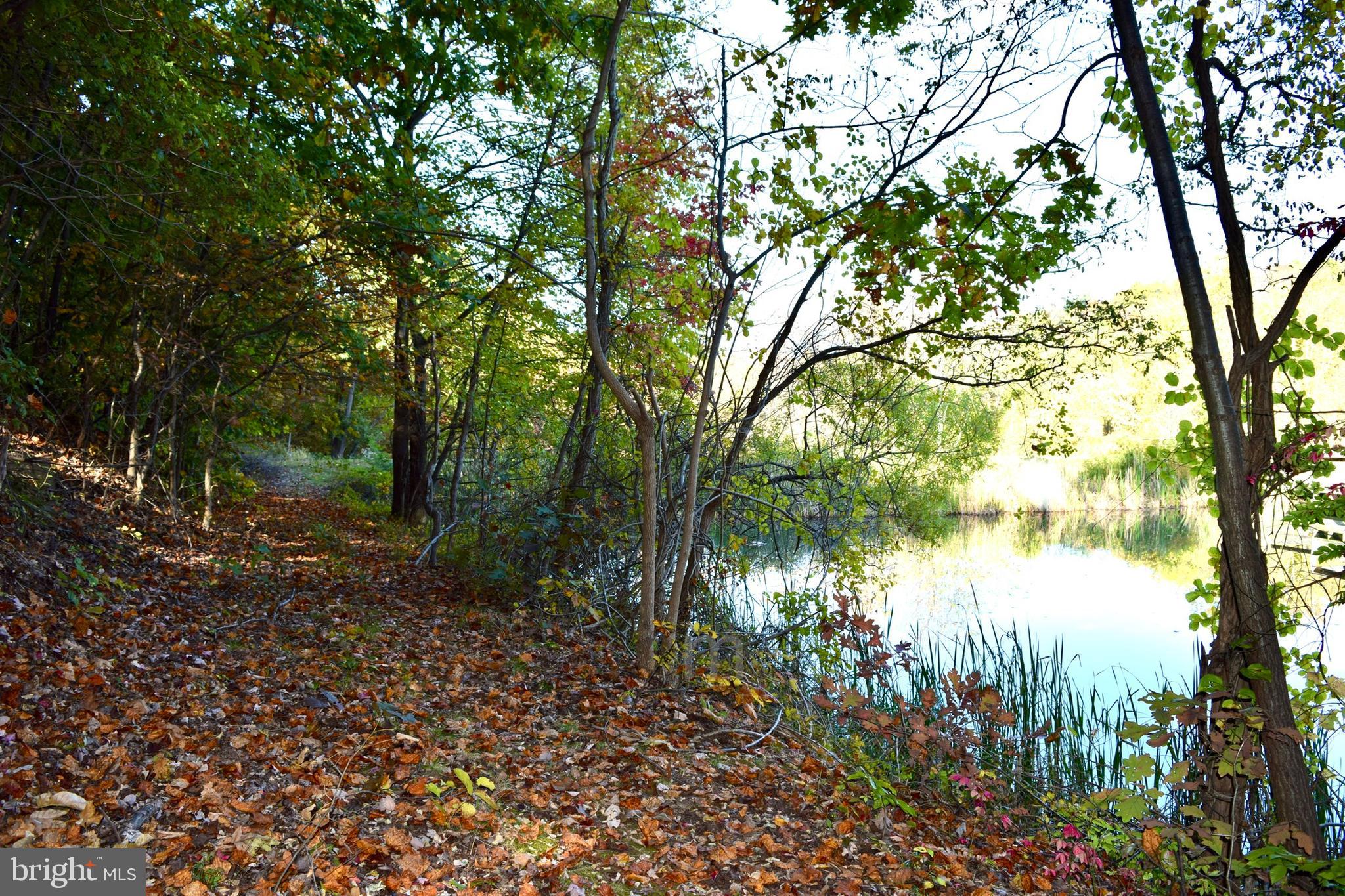 SHENANDOAH FARMS - Residential