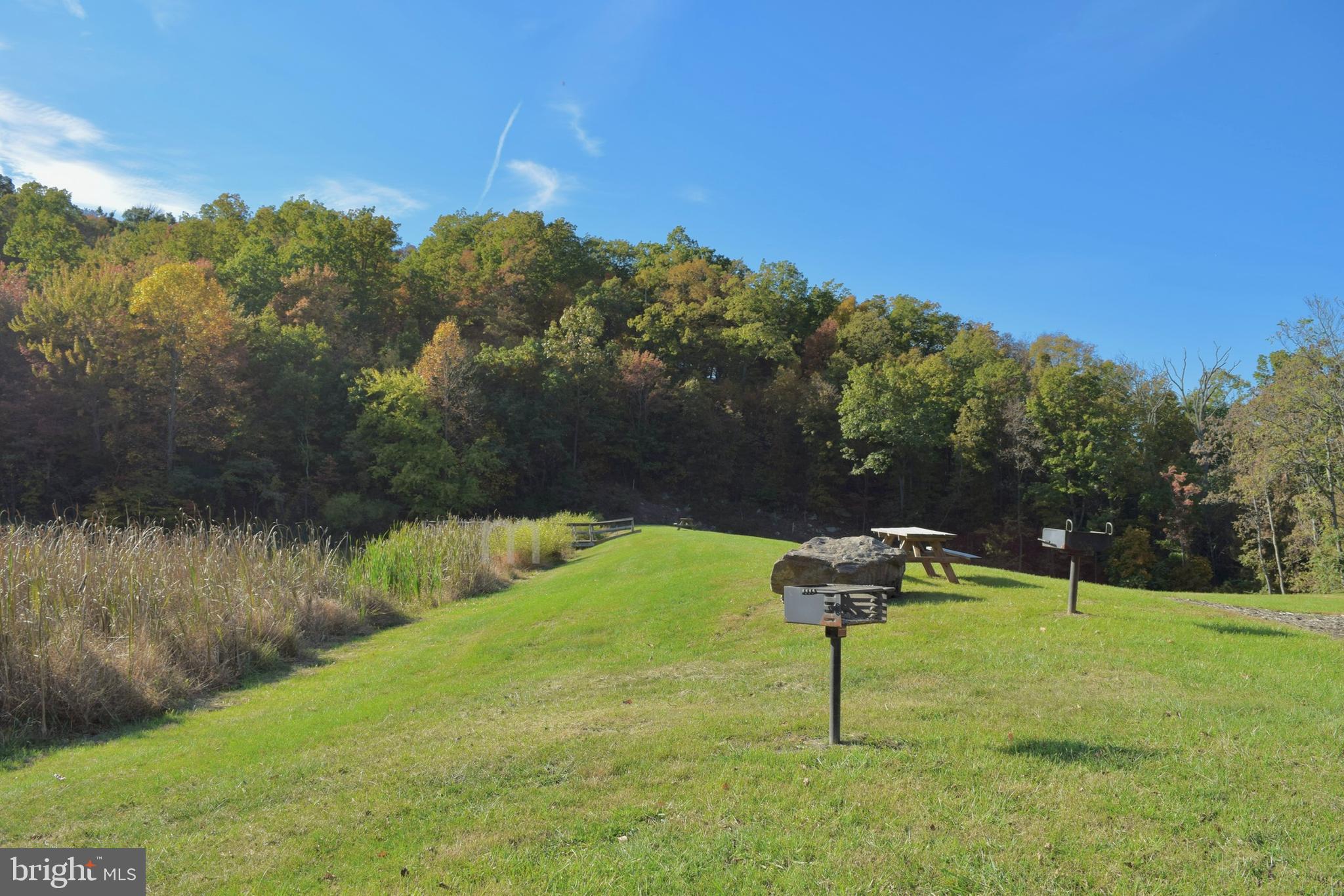 SHENANDOAH FARMS - Residential