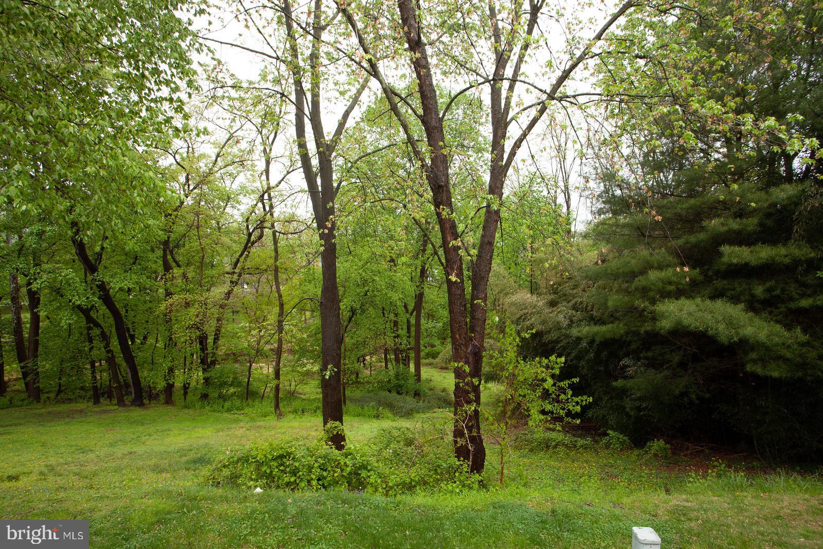 CHIPPENDALE - Residential