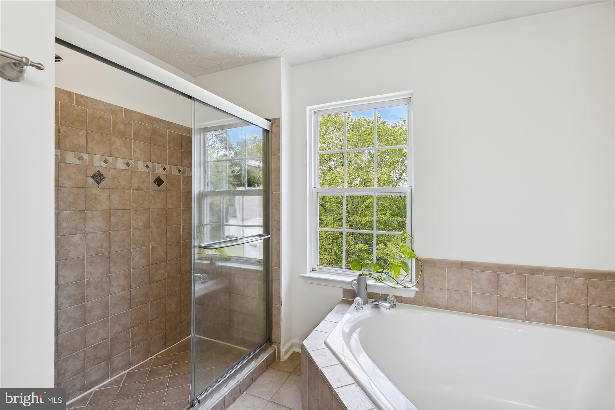 WILLIAMS KNOLL - Residential