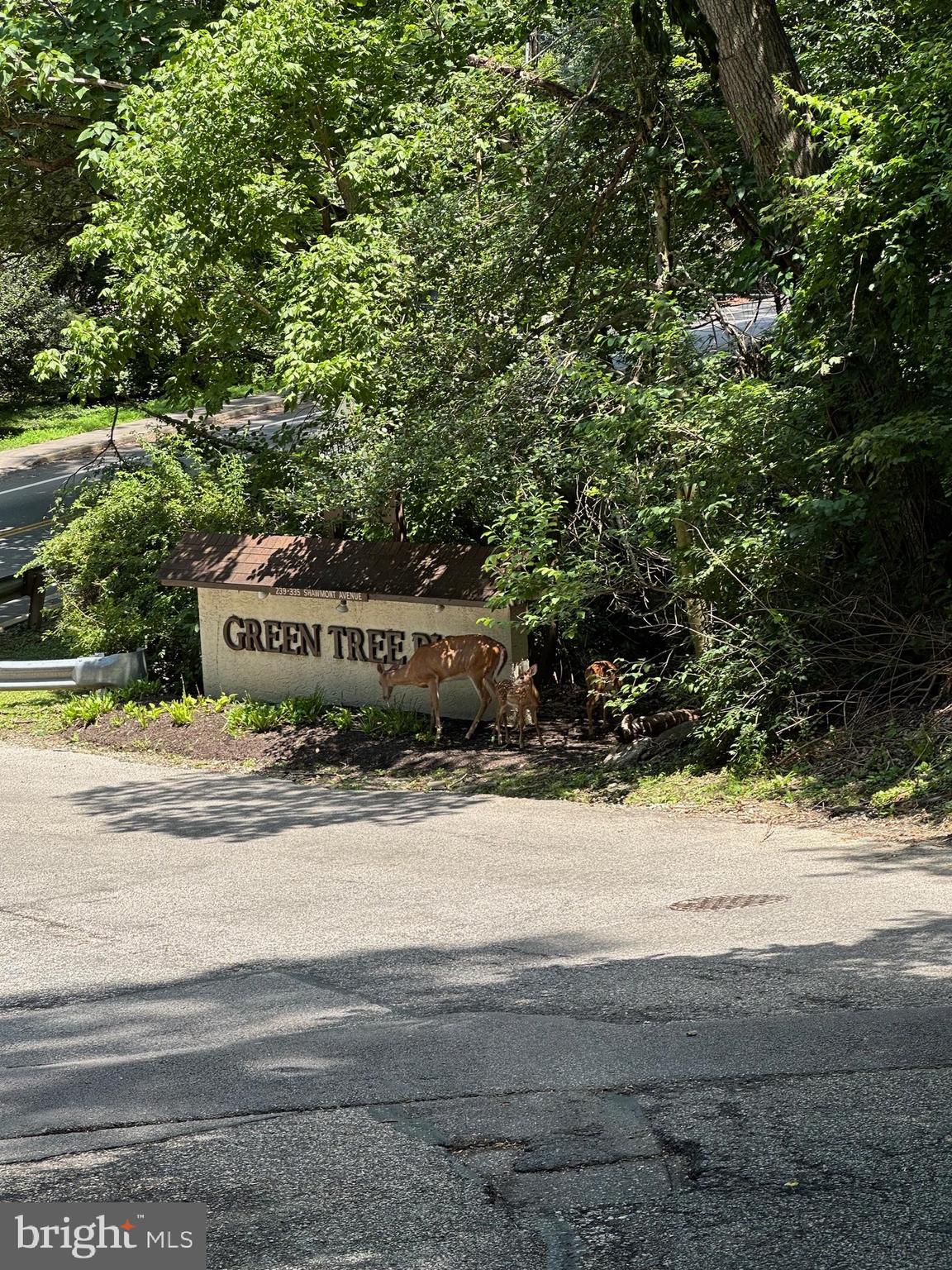 GREEN TREE RUN - Residential