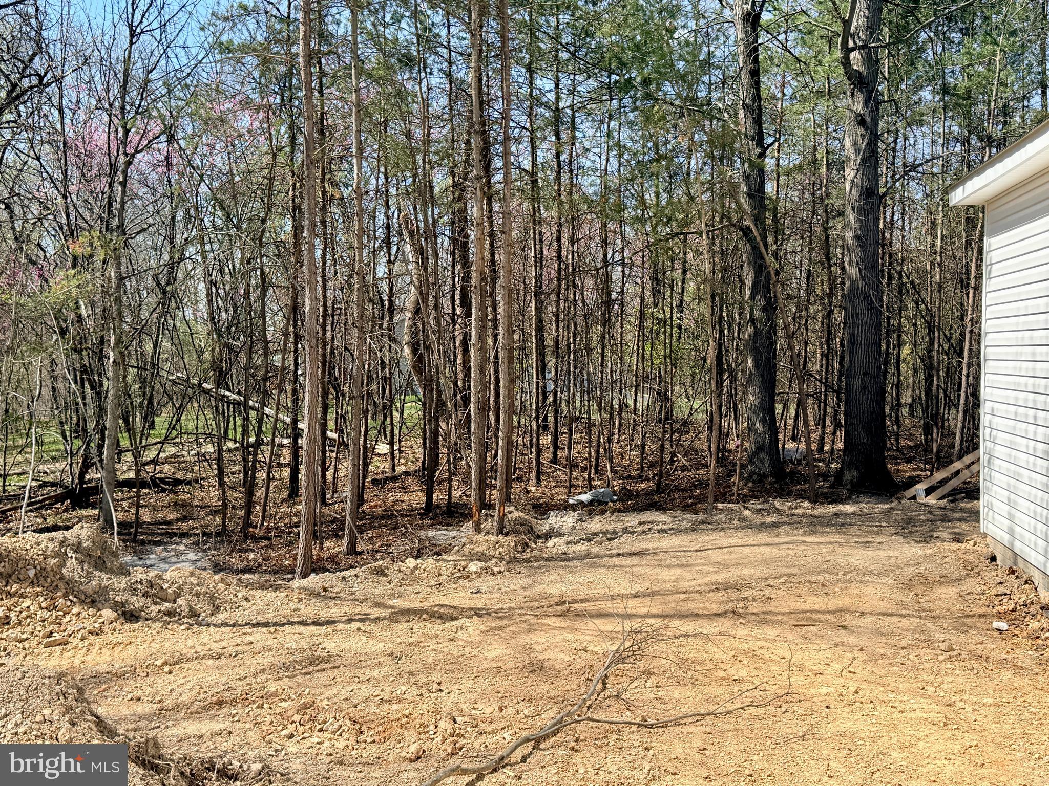 ASHTON FOREST - Residential