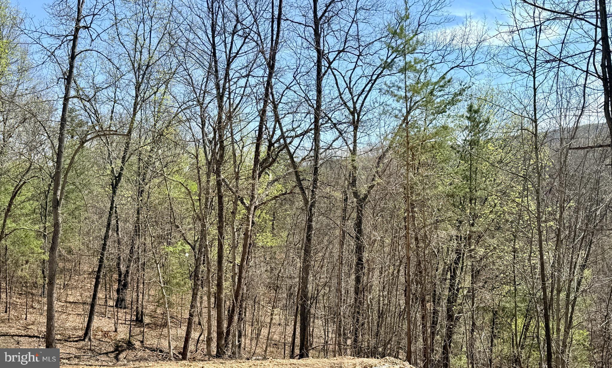 ASHTON FOREST - Residential