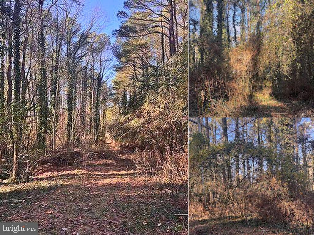 Lot for sale in the desirable area of Drum Point.