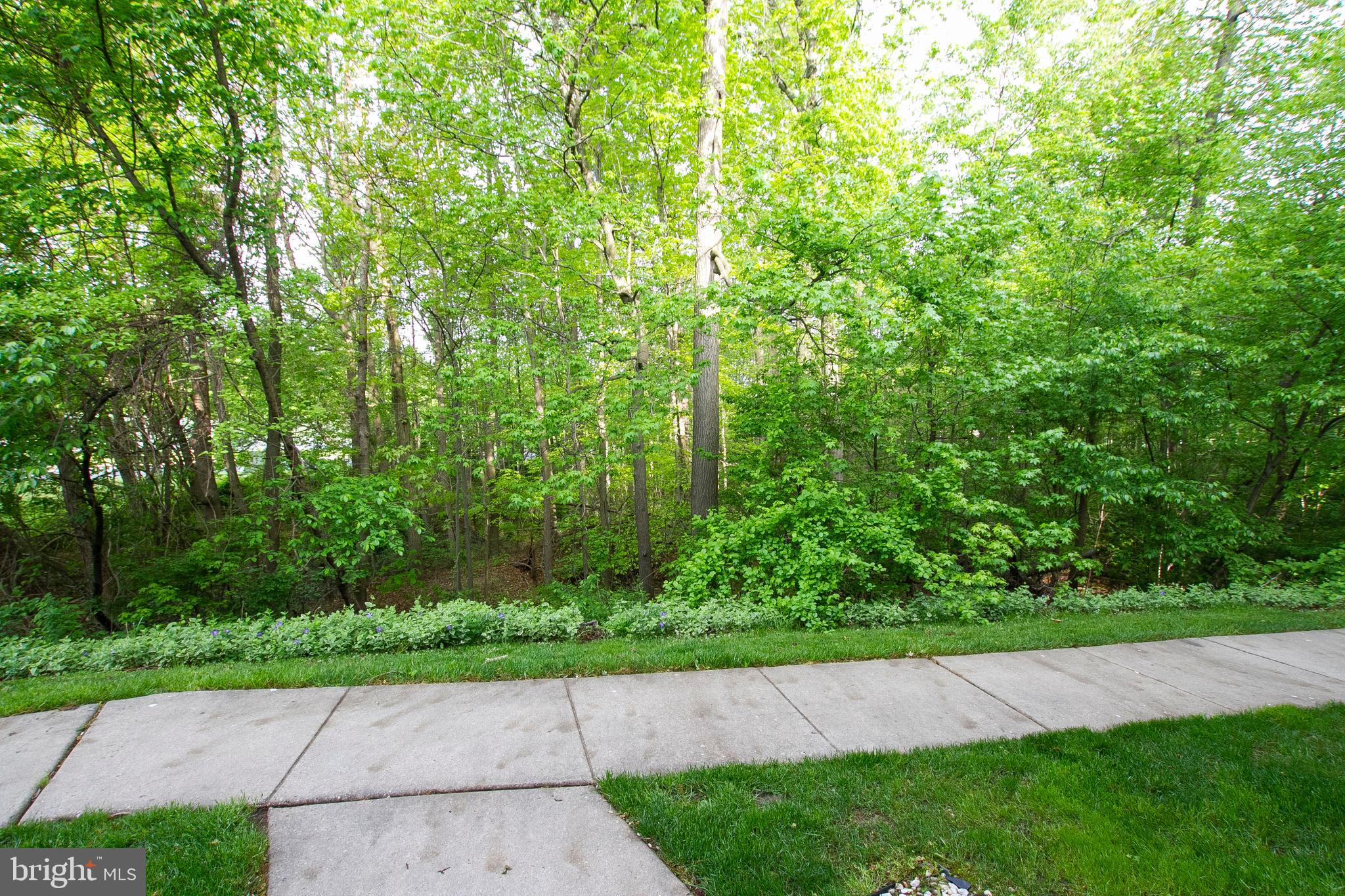 WOODBRIDGE CENTER - Residential