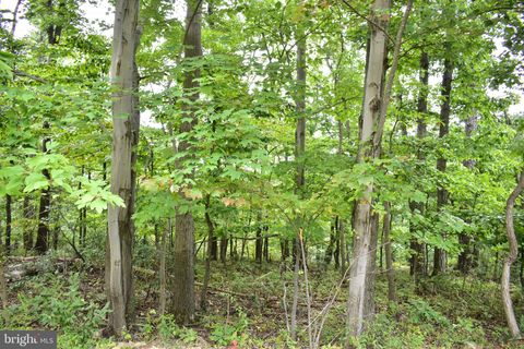 Vacant Land For Sale - LOT 17 Fox Trail<br/> Frederick County, WINCHESTER, VA 22602